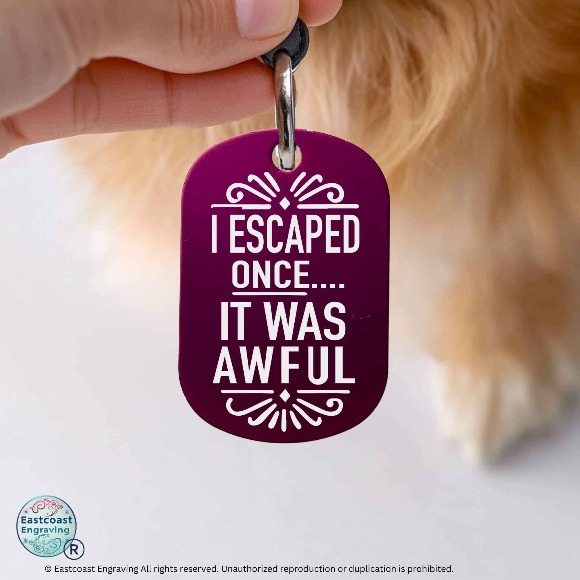Funny cat collar tags personalized engraved cat ID purple