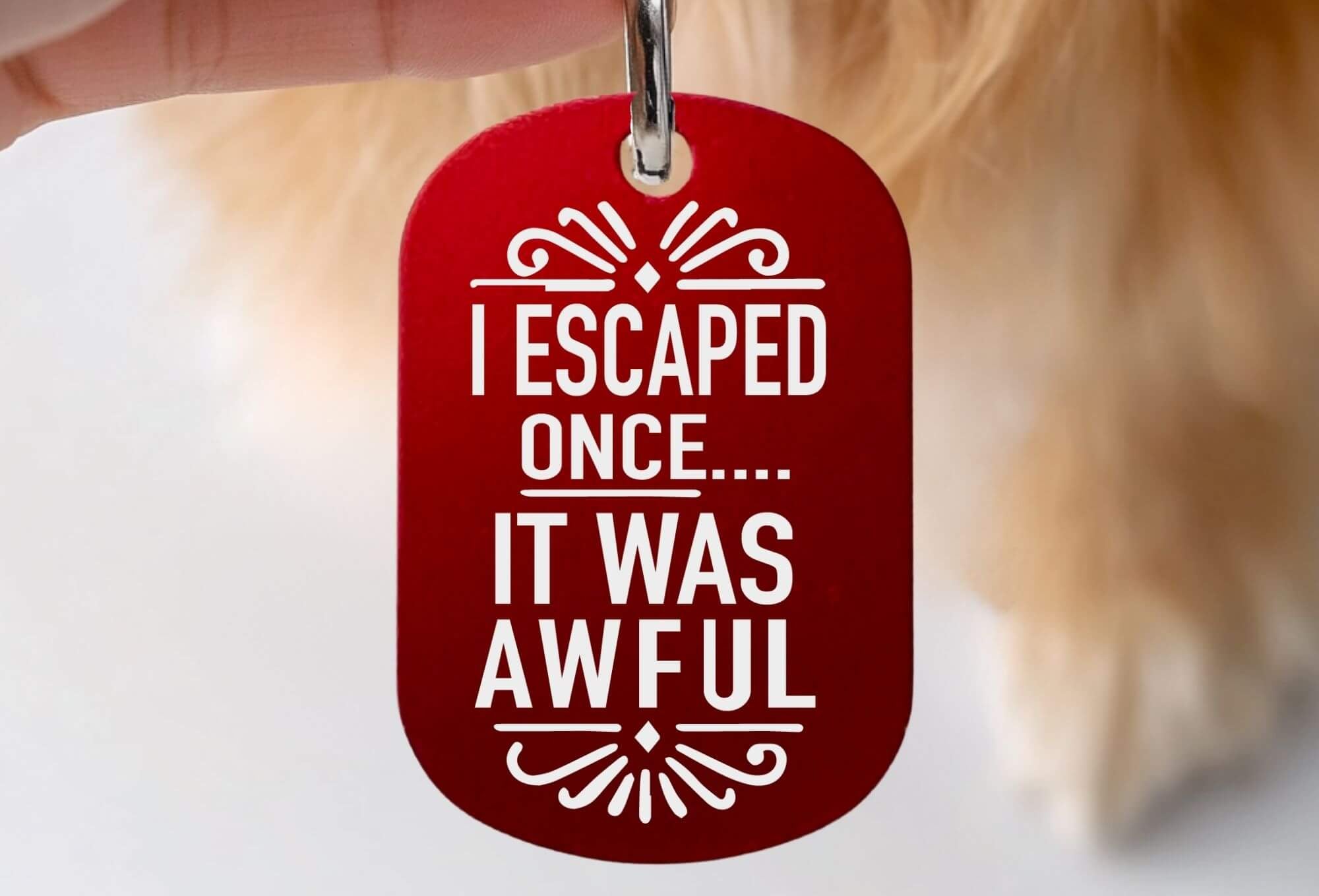 Personalized cat ID tags engraved funny collar tag red