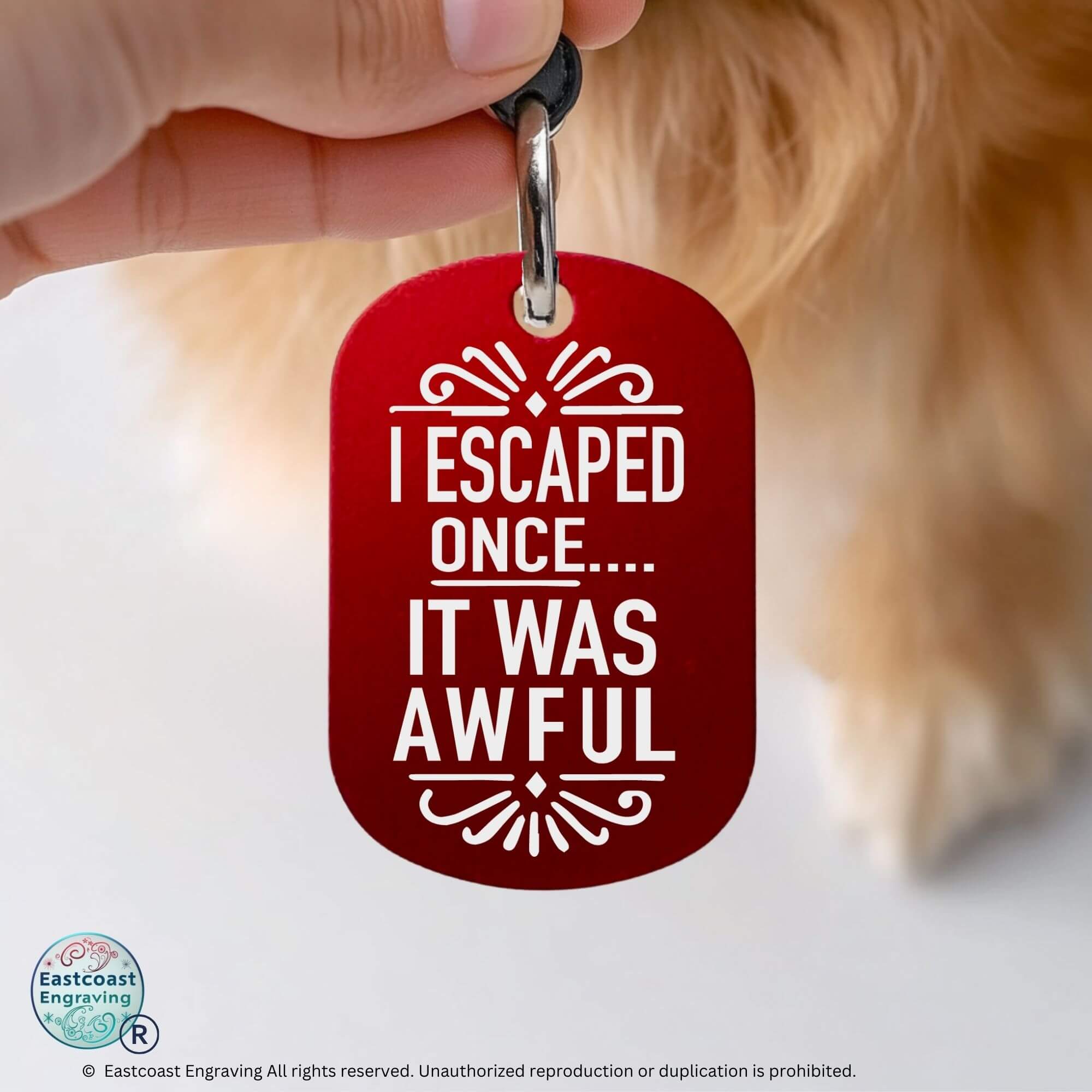 Personalized cat ID tags engraved funny collar tag red
