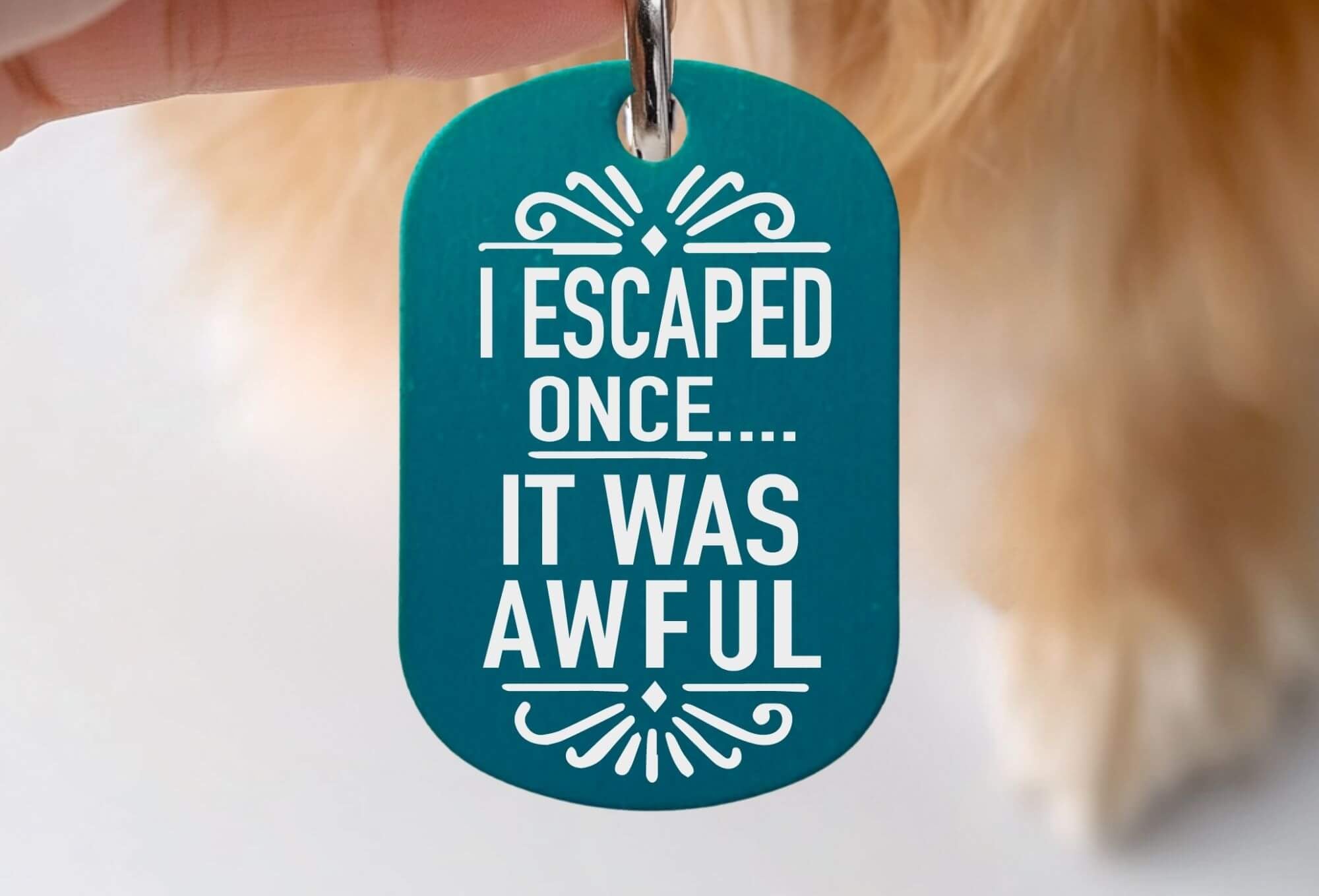 Custom engraved cat ID tags funny cat collar tag teal