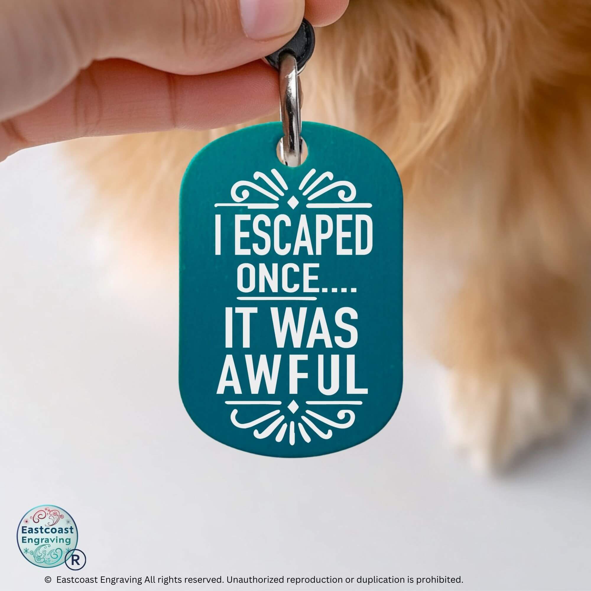 Custom engraved cat ID tags funny cat collar tag teal