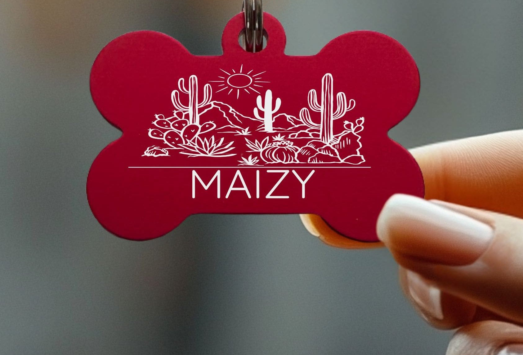 Personalized Pet Collar Tags for Dogs – Custom Engraving
