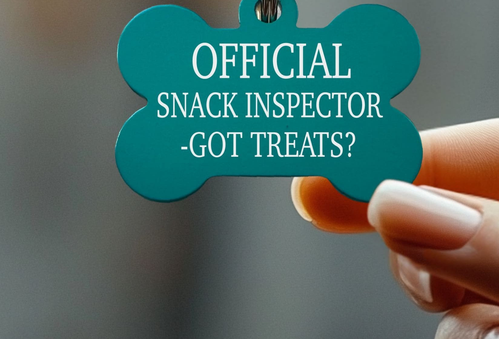 Closeup of Engraved Dog ID Tag – Funny and Customizable