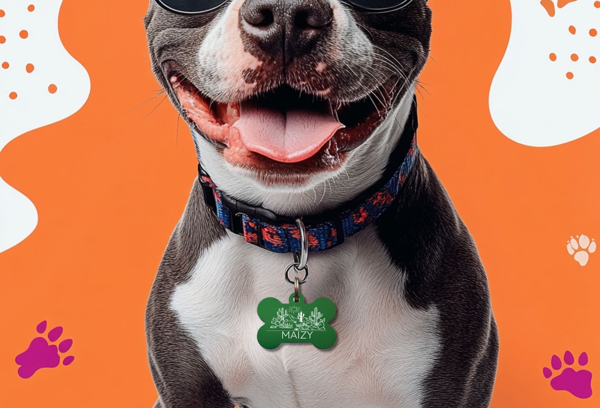 Custom Pet Collar Tags – Desert Cactus Design by Eastcoast Engraving
