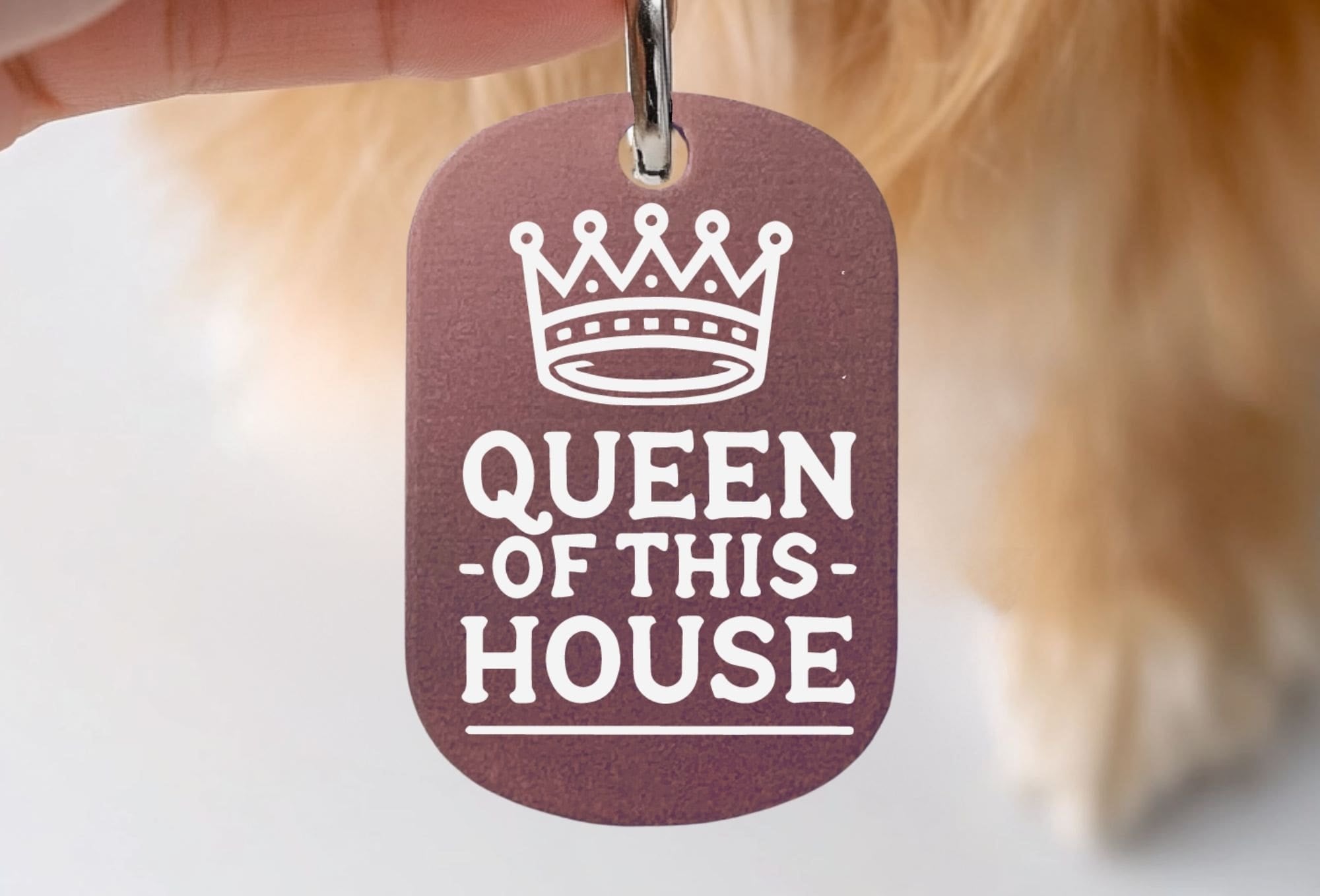 Funny cat collar tag - Queen of This House engraved pet tag in pink