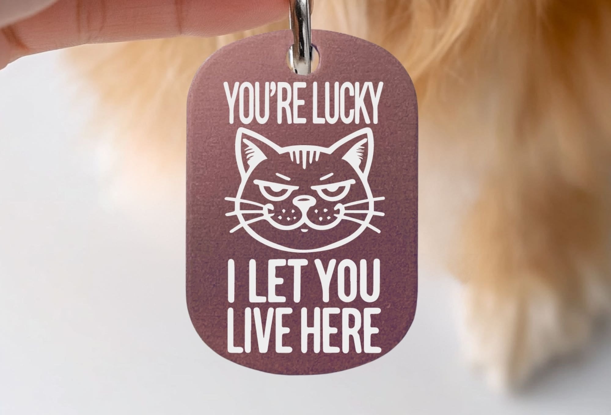 Funny cat collar tag - You're Lucky I Let You Live Here, personalized engraved pet tag in pink