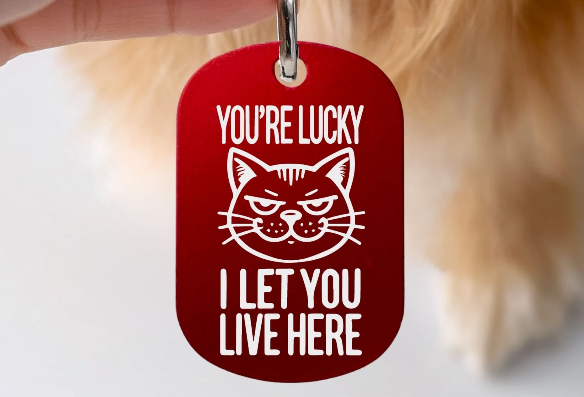 Funny cat ID tag engraved red – You're Lucky I Let You Live Here cat face design