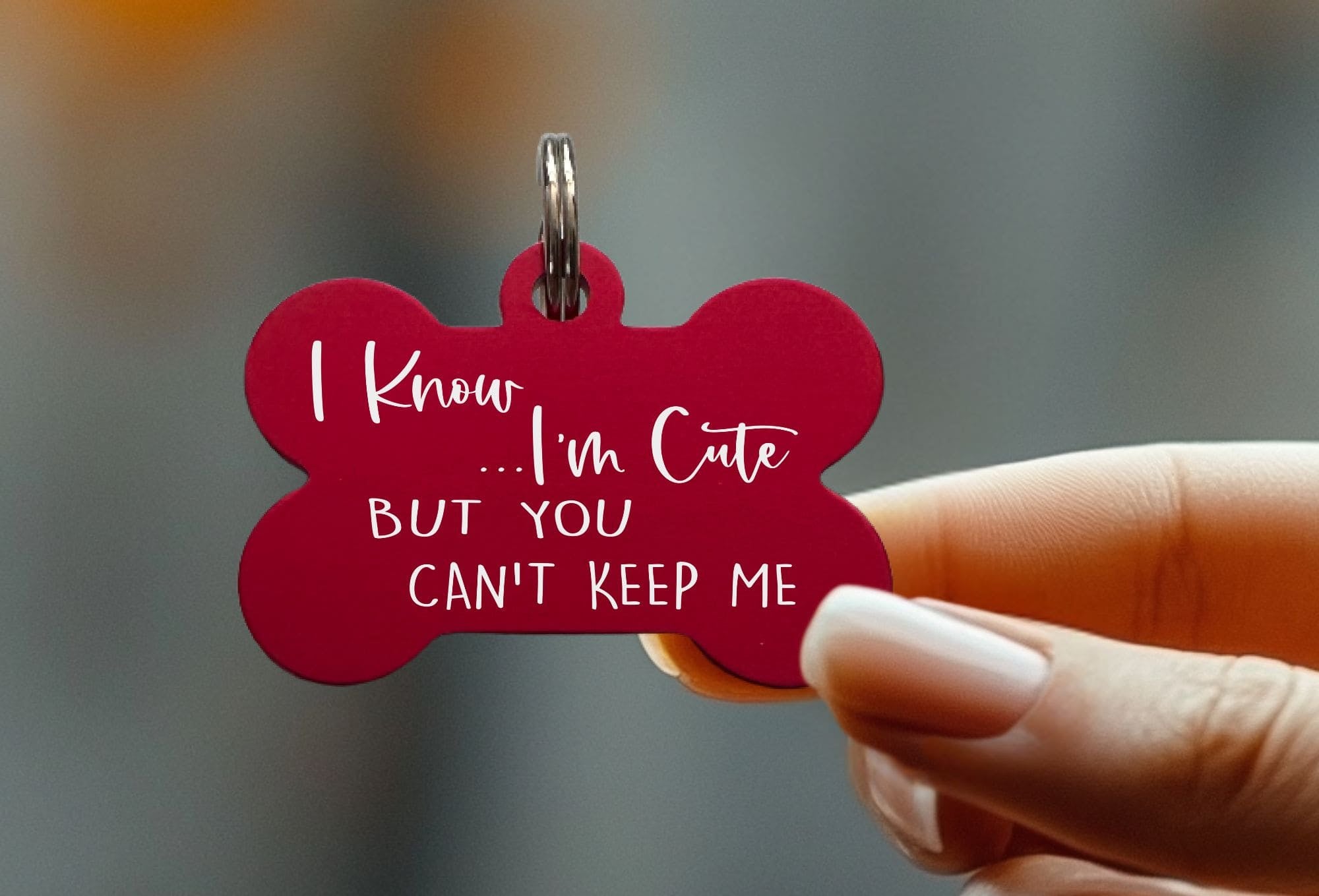 Engraved funny dog ID tag with personalized text - Humor for playful pets