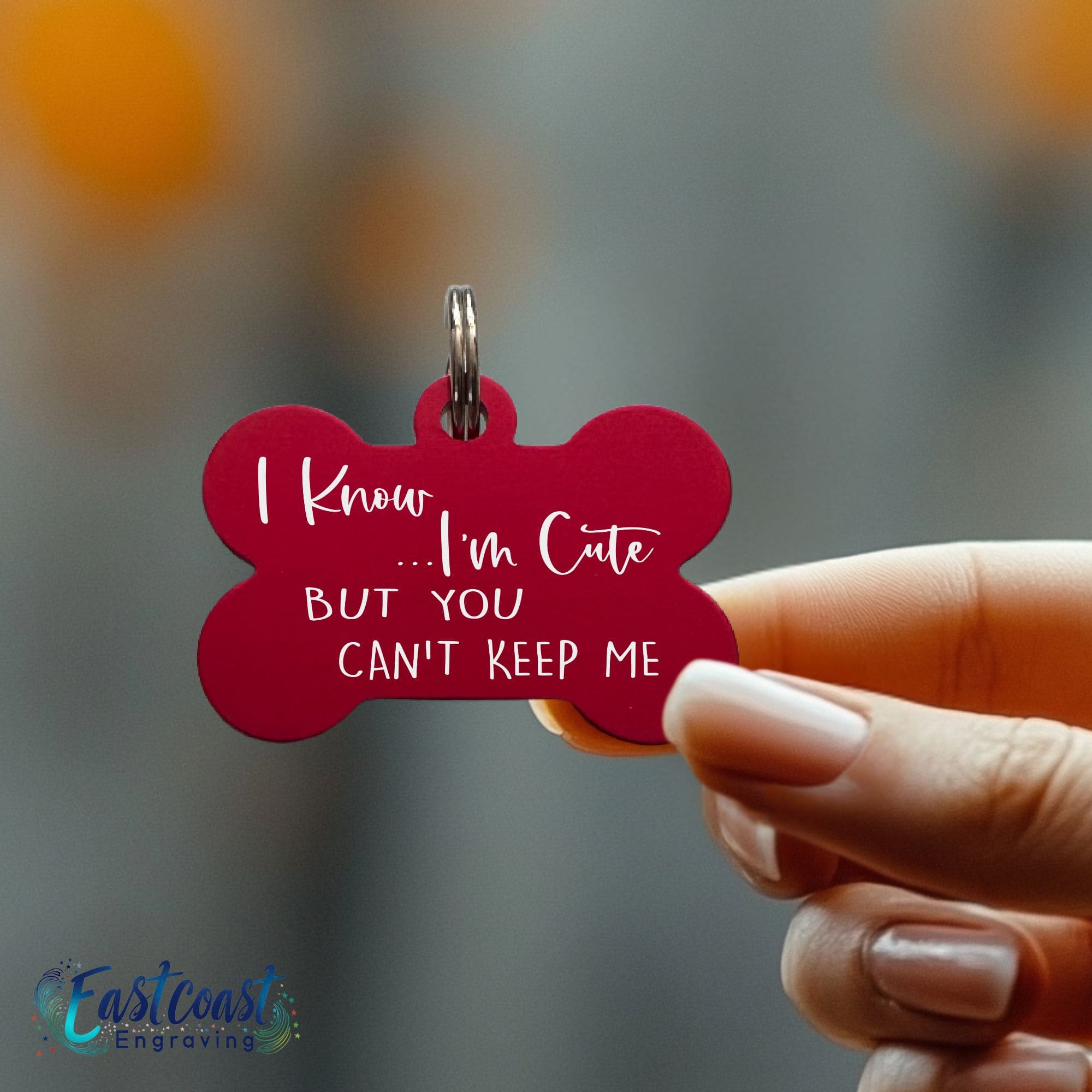 Engraved funny dog ID tag with personalized text - Humor for playful pets