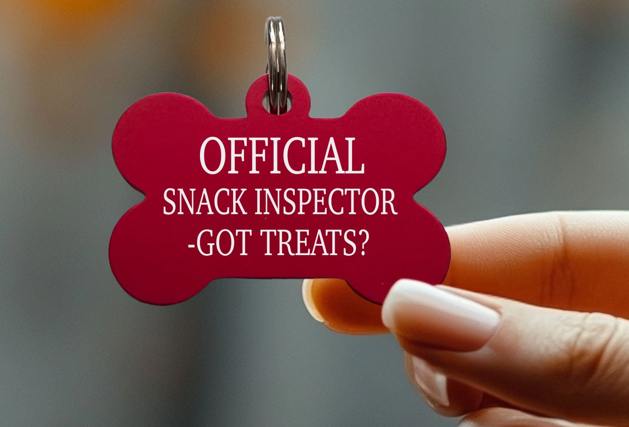 Red Funny Custom Dog ID Tag – Personalized Pet Name Tag