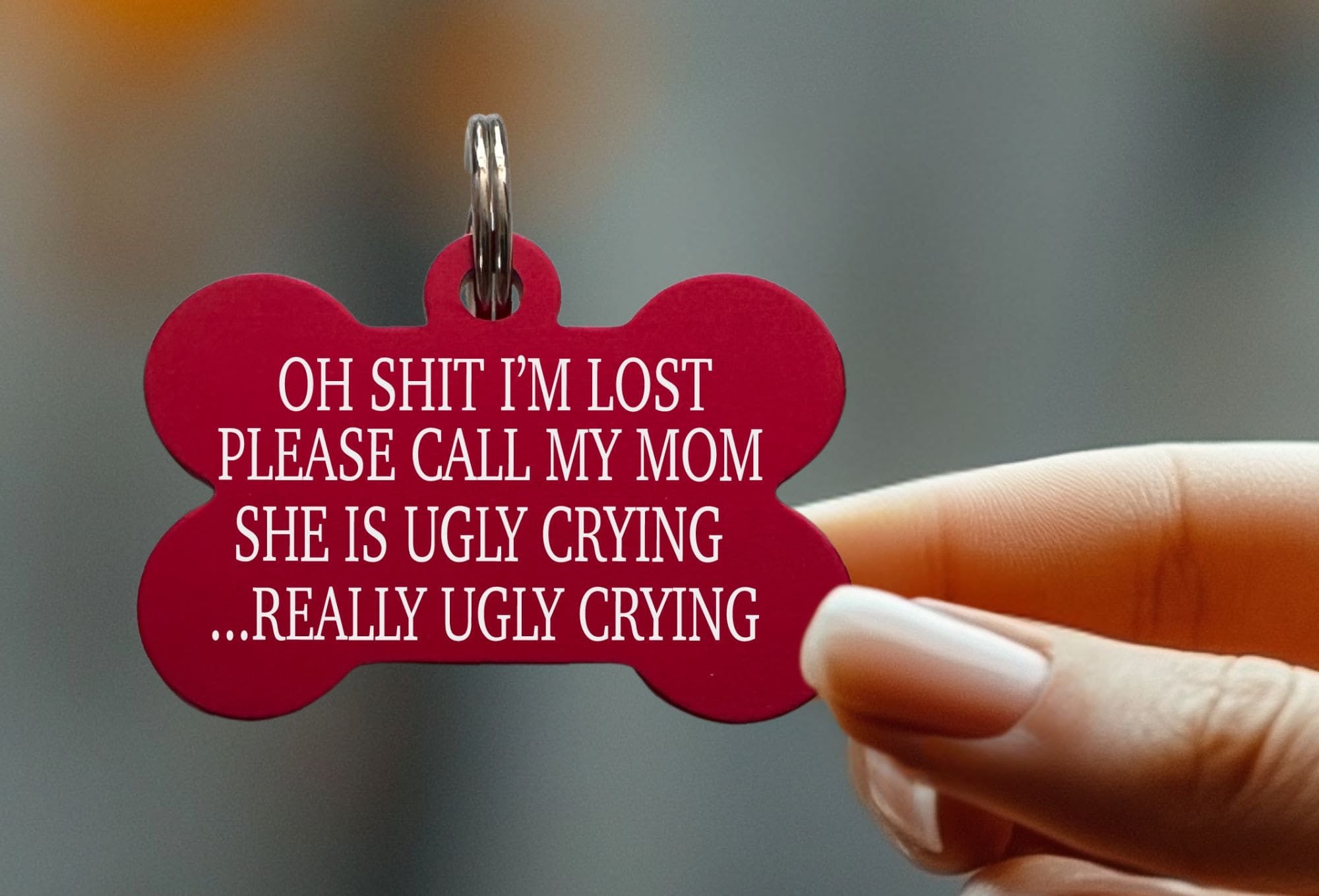 Best funny dog name tags for your furry friend