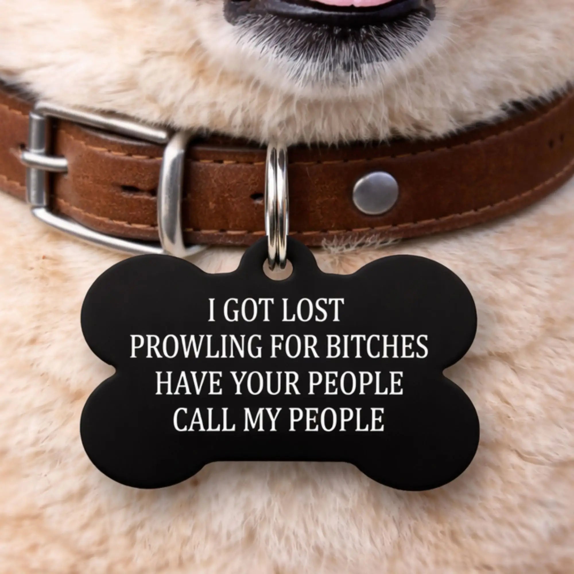 funny-dog-id-tag-i-got-lost-prowling-call-my-people