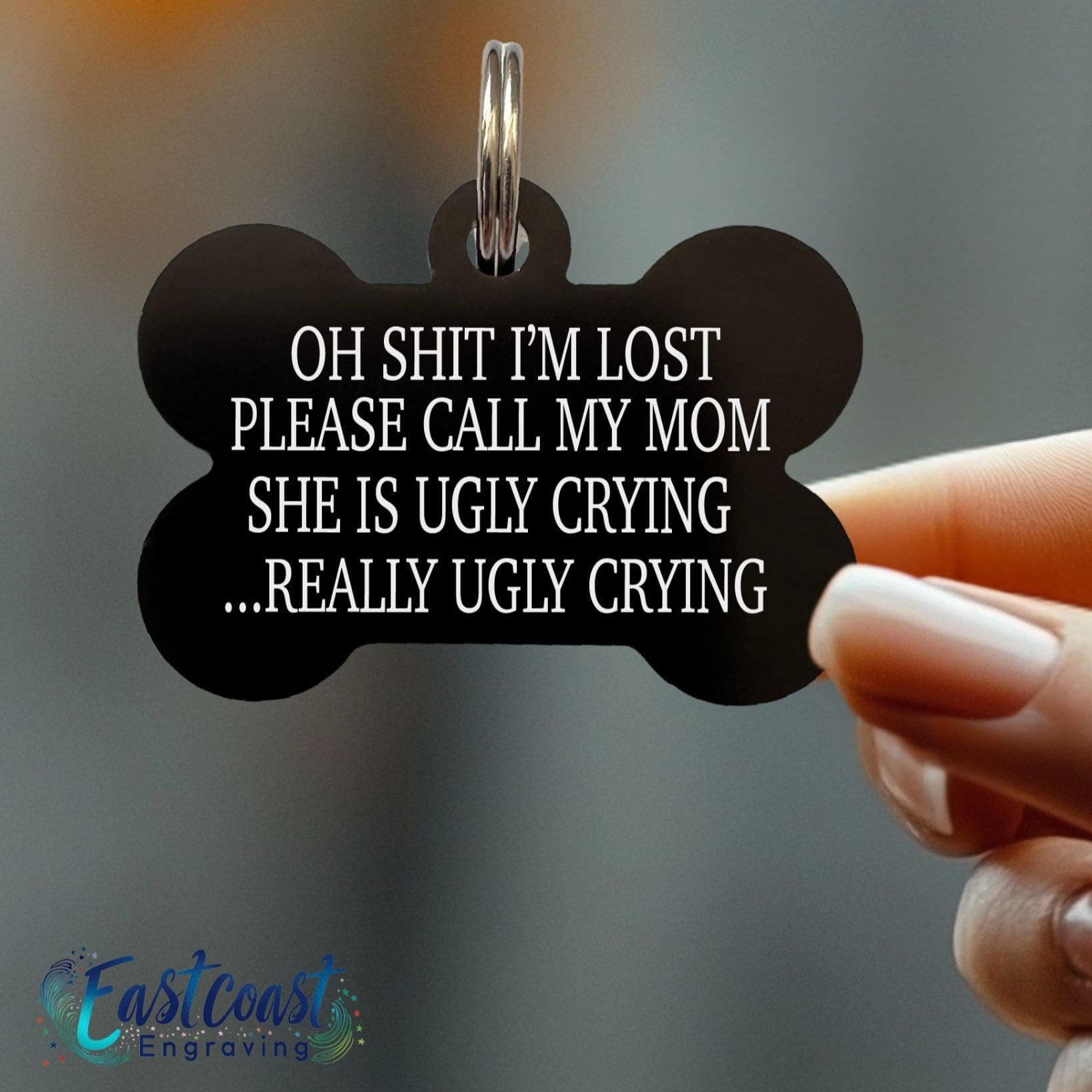 Custom Pet ID Tag on Collar – Funny Dog Name Tag