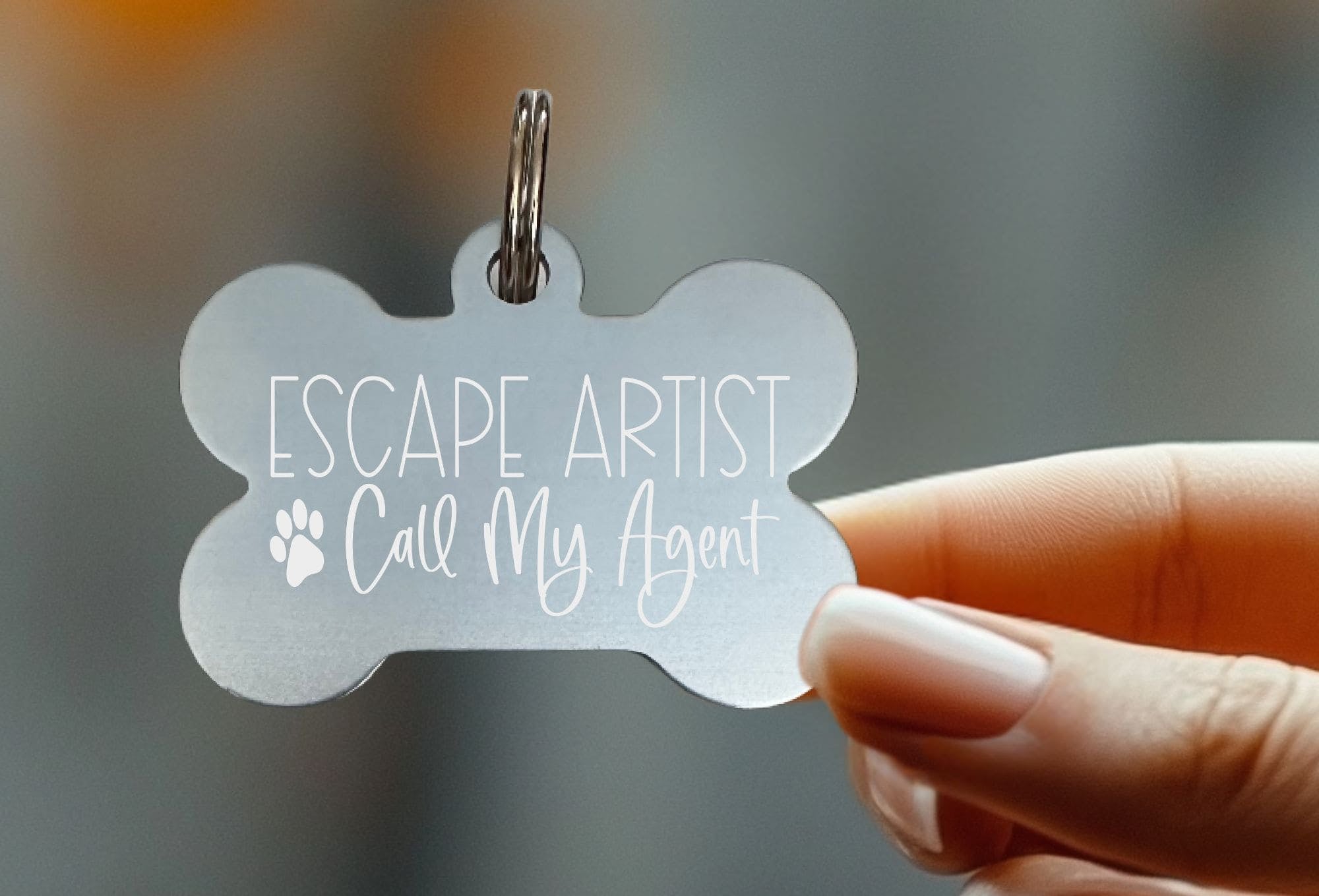 Stylish laser engraved pet tags for dogs and cats