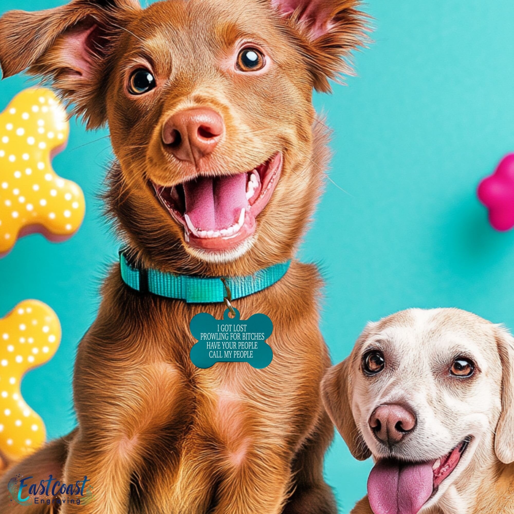 Custom dog collar tags with funny sayings, including funny dog name tags and fun dog tags, designed to keep pets stylish and safe.