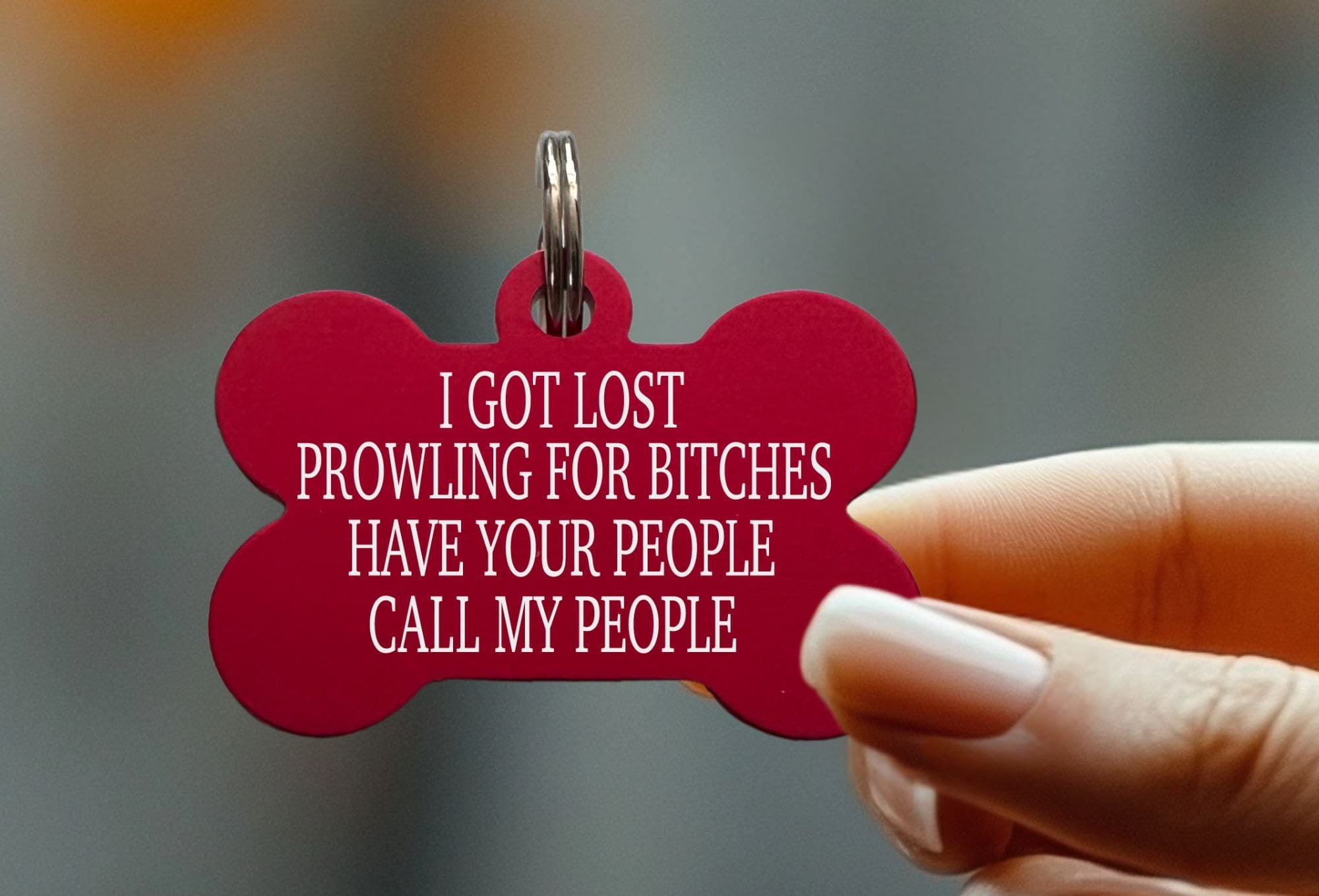 Unique engraved dog collar tag with "Prowling for Bitches" quote