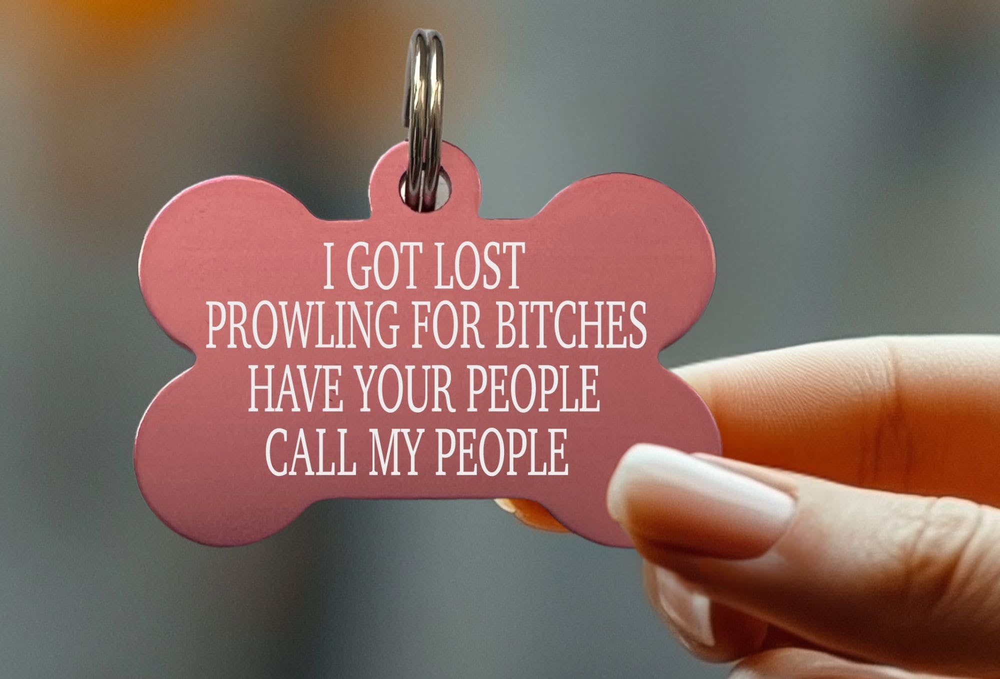 Funny custom pet ID tag for dogs with "Prowling for Bitches" design