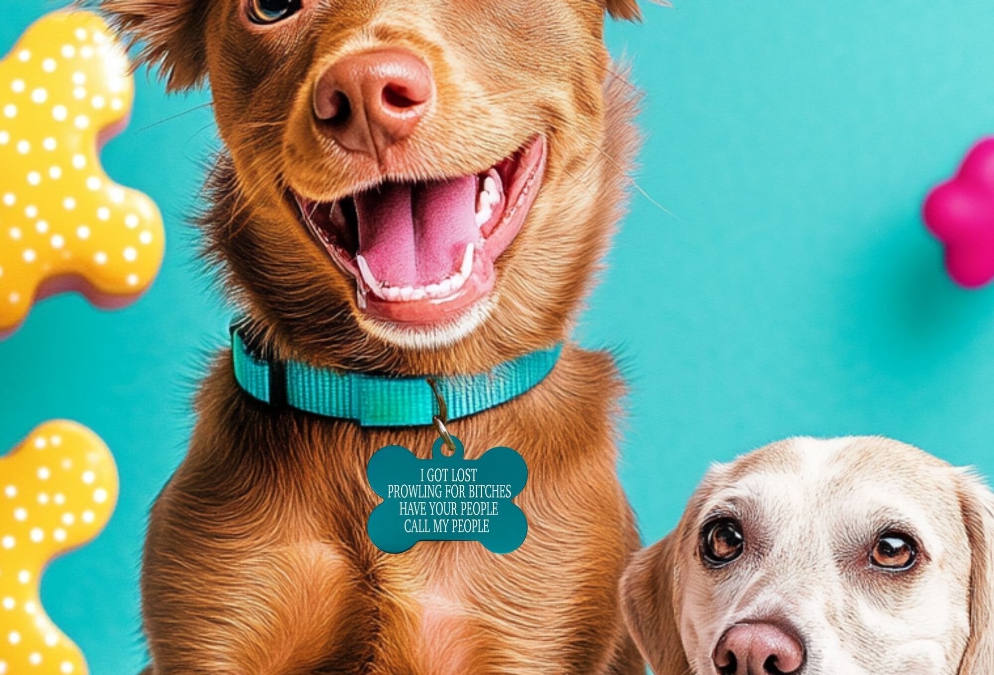 Funny dog name tag – custom engraved Prowling for Bitches in teal