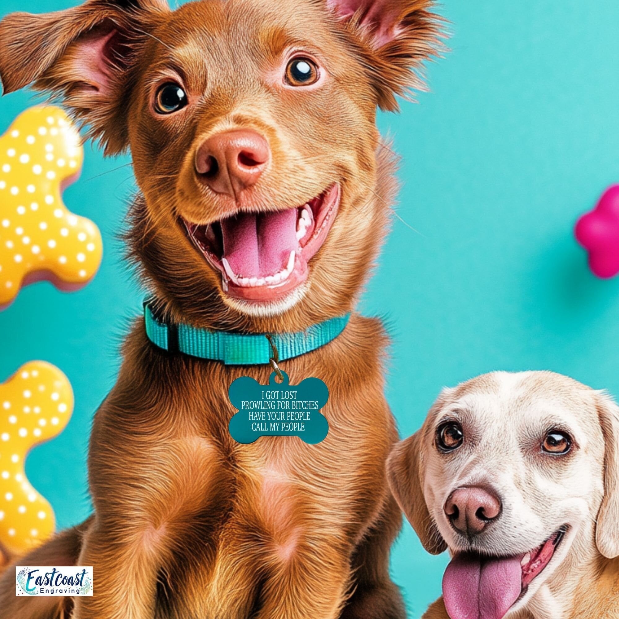 Funny dog name tag – custom engraved Prowling for Bitches in teal