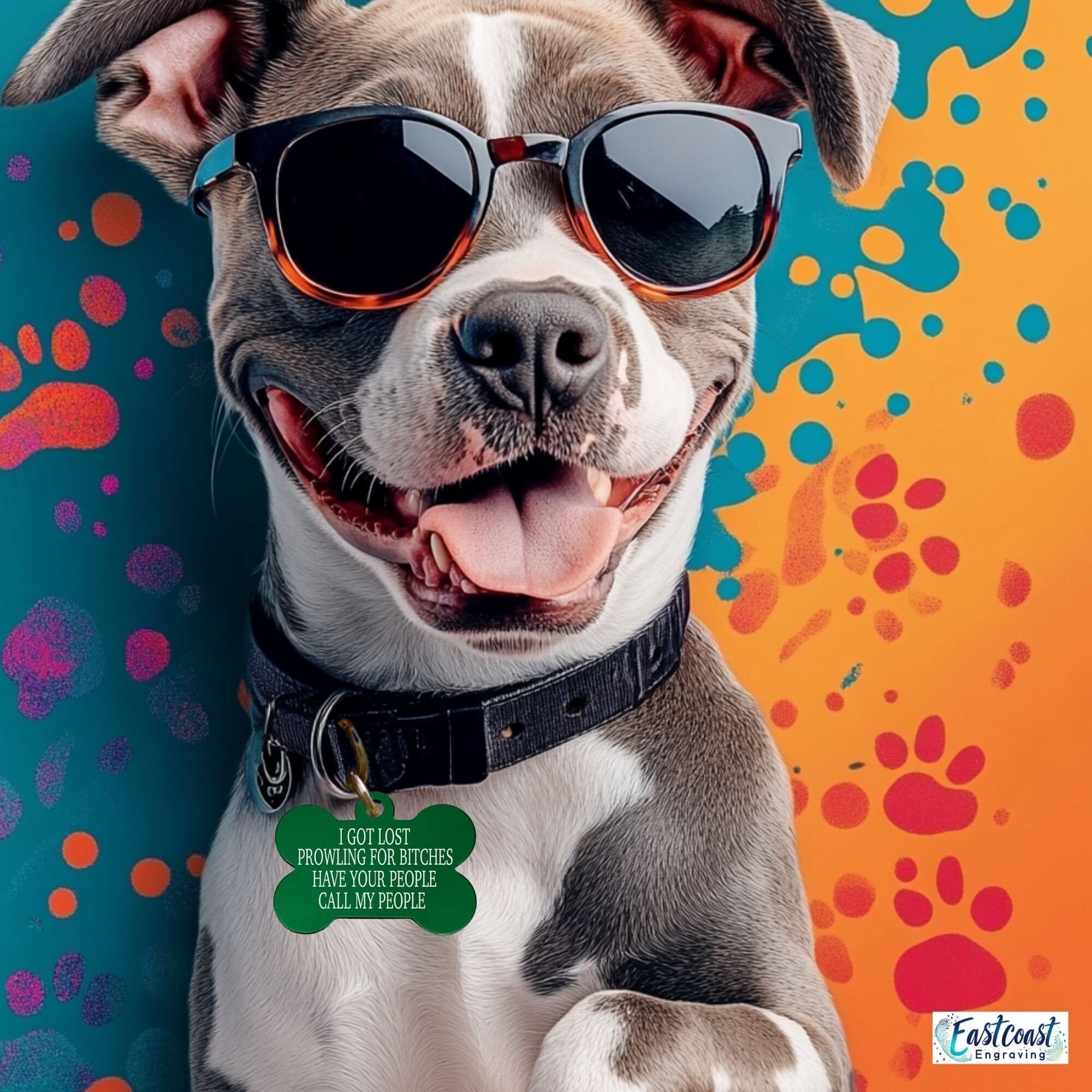 Funny pet ID tag with vibrant colors – engraved dog tag