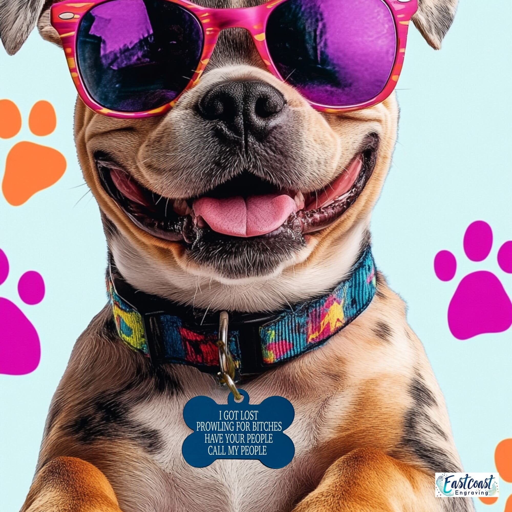 Blue custom engraved pet tag – funny dog name tag