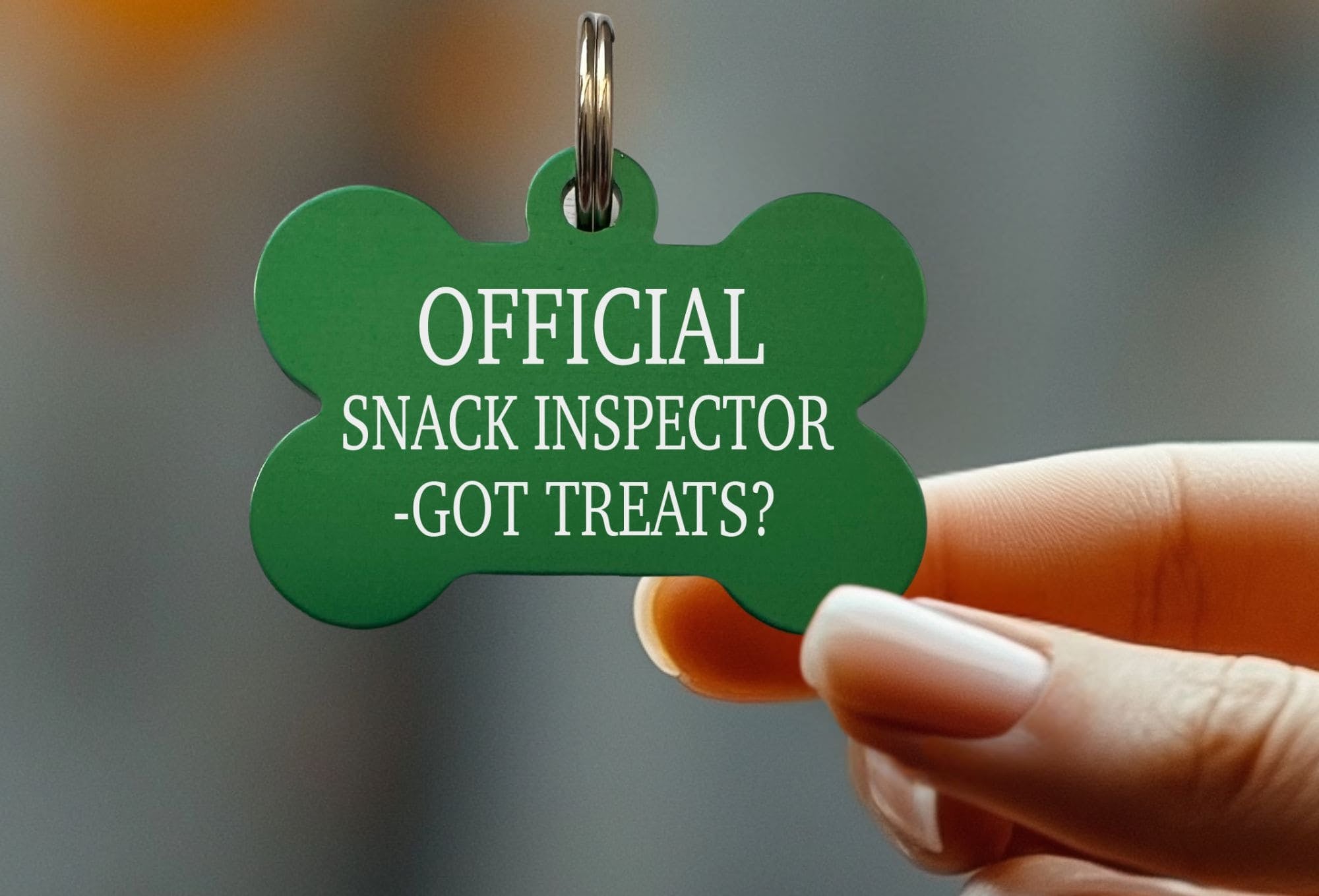Custom Engraved Pet ID Tag – Funny and Durable Dog Tag