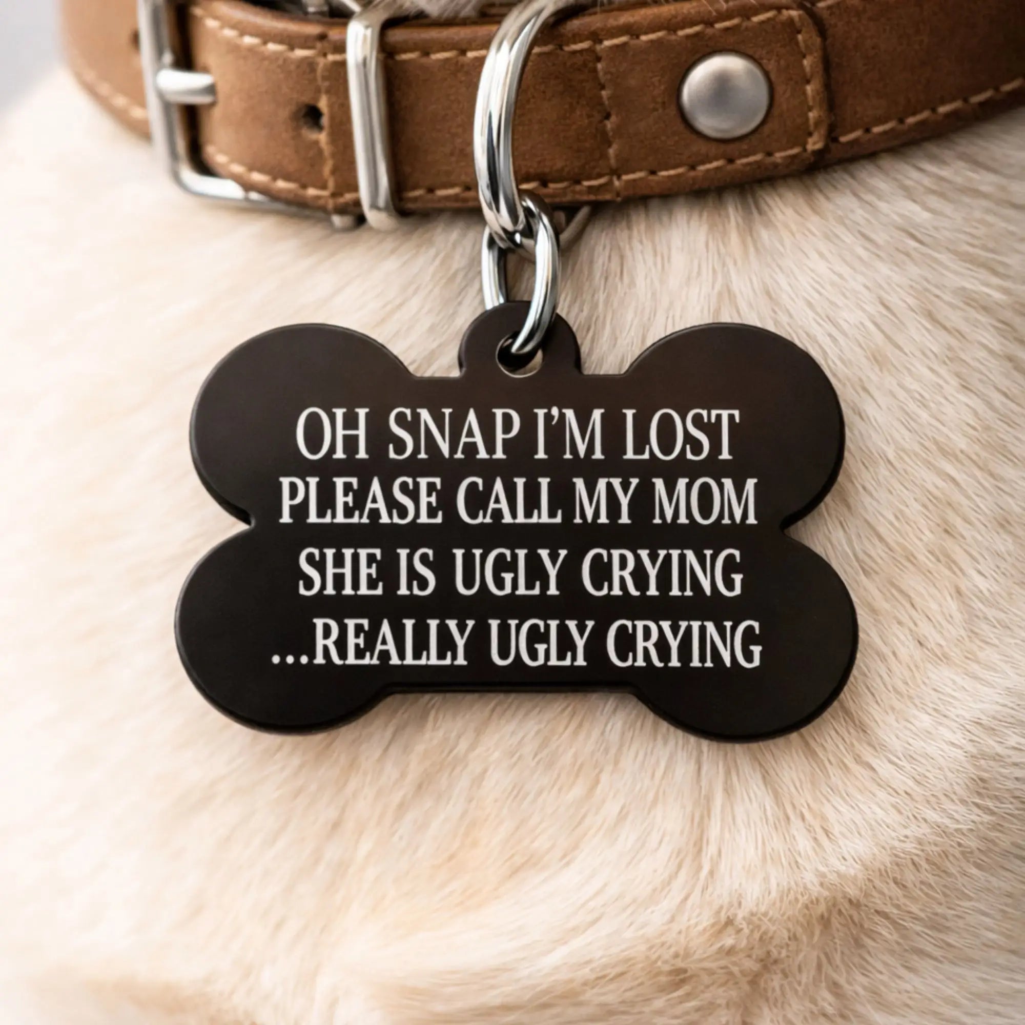 Funny dog ID tag reading “Oh Snap I’m Lost” on a dog collar, engraved pet identification tag