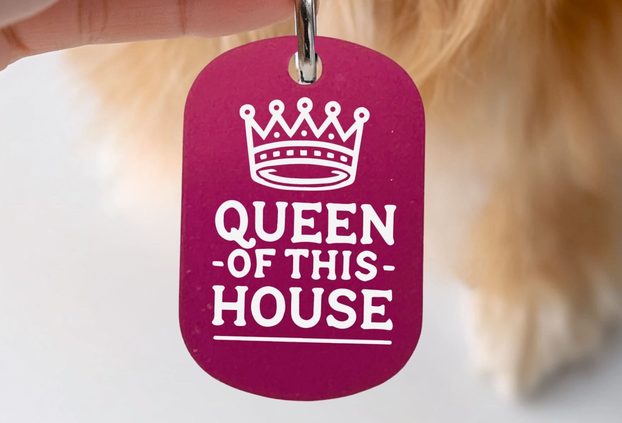 Funny cat ID tag – Queen of This House design engraved on personalized cat collar tag in hot pink