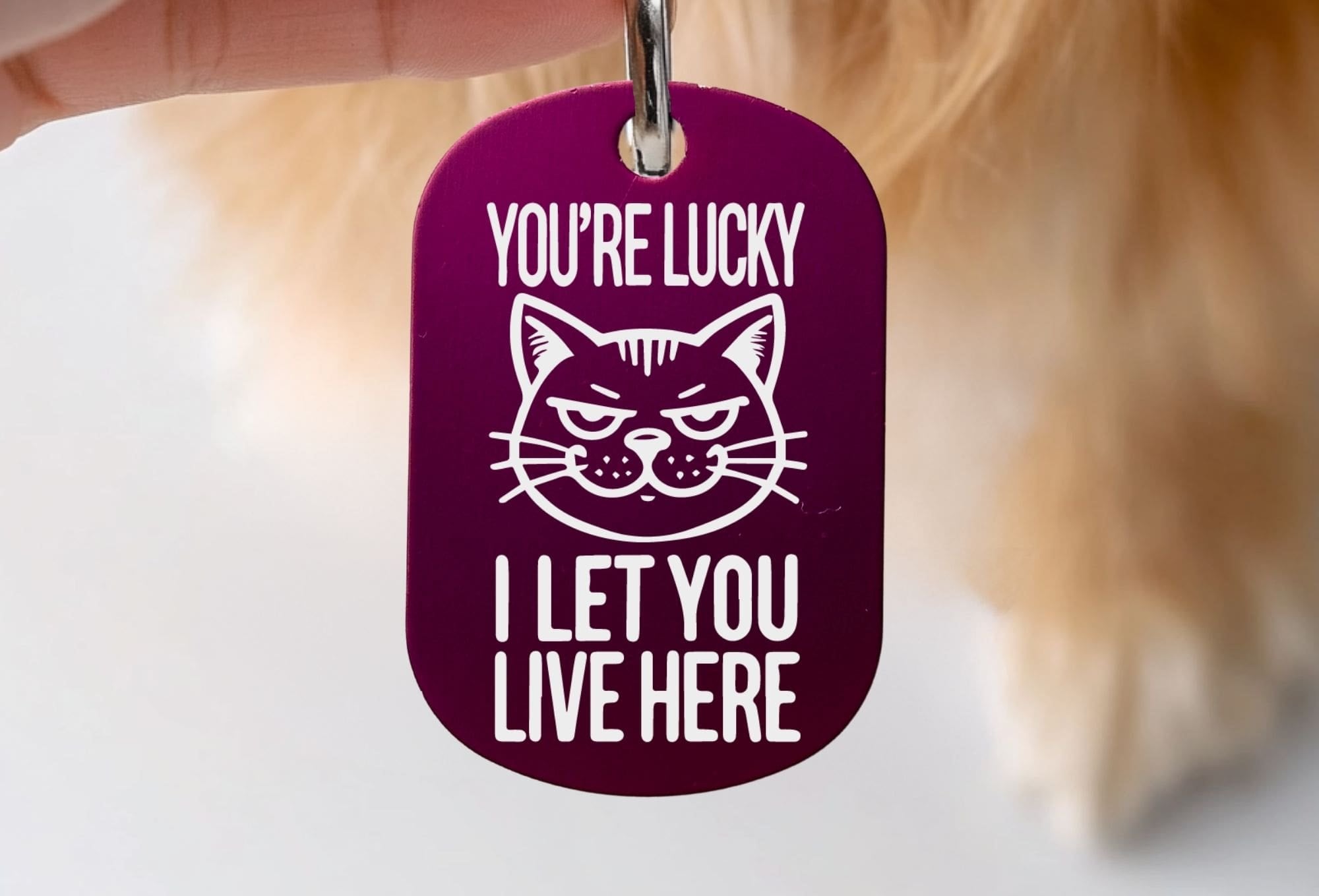 Personalized cat name tag - You're Lucky I Let You Live Here, custom engraved pet ID tag in purple