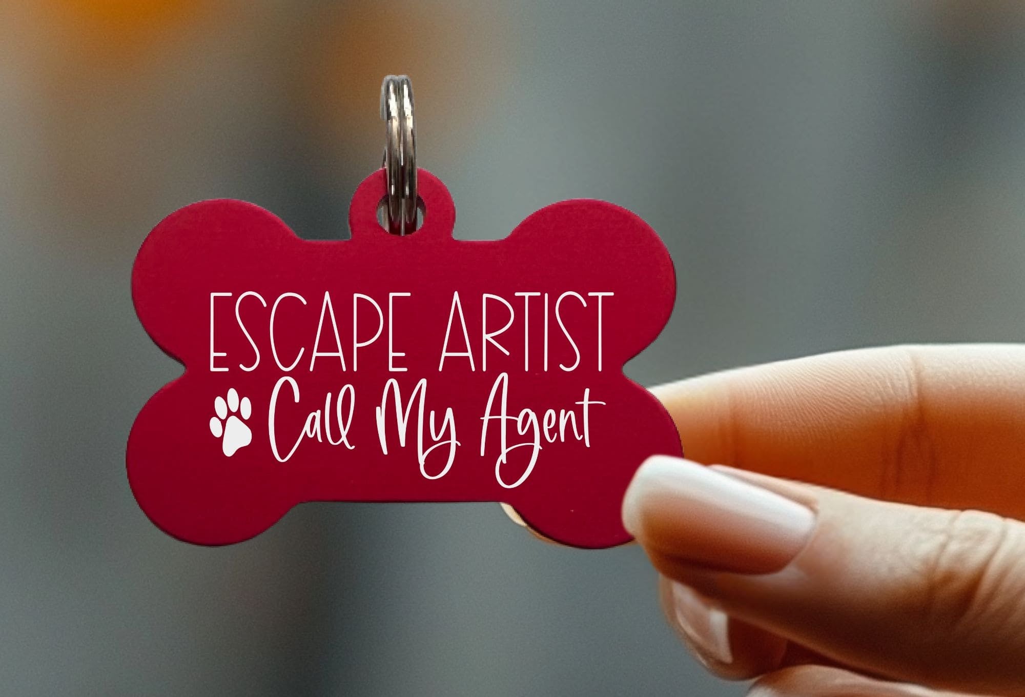 Best laser engraved dog tags for safety and charm