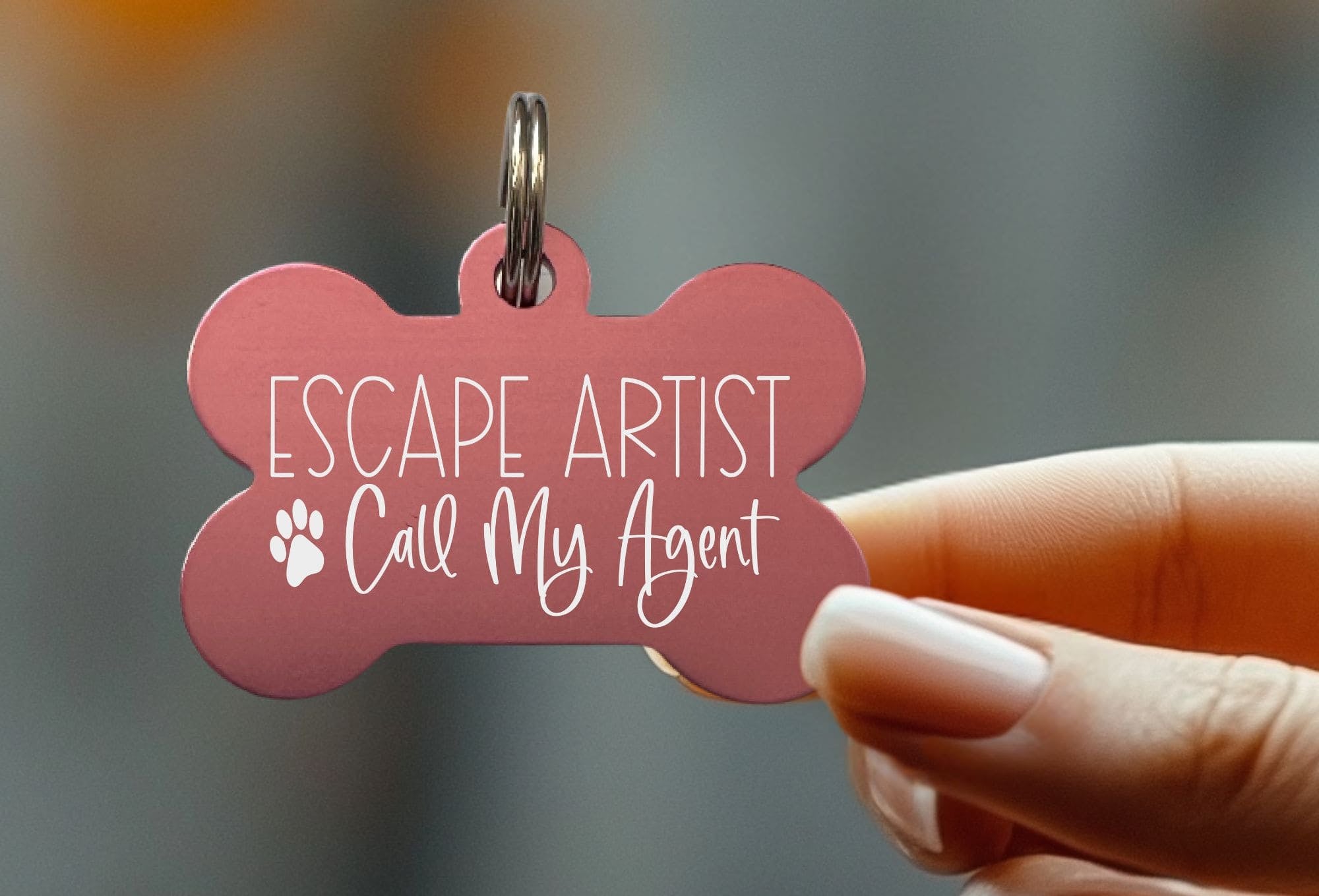 Custom pet ID tags with laser engraving by Eastcoast Engraving