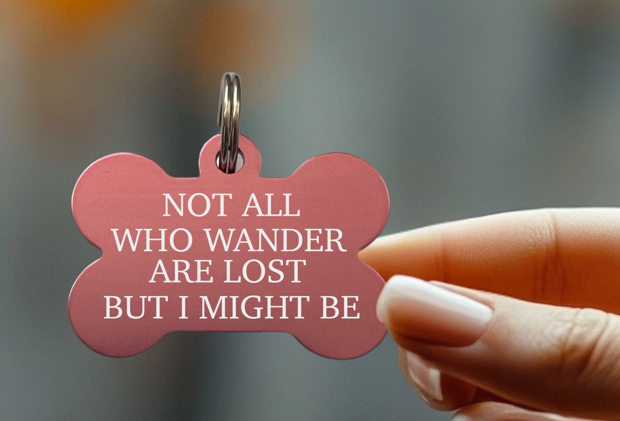 Best funny dog tags for stylish identification