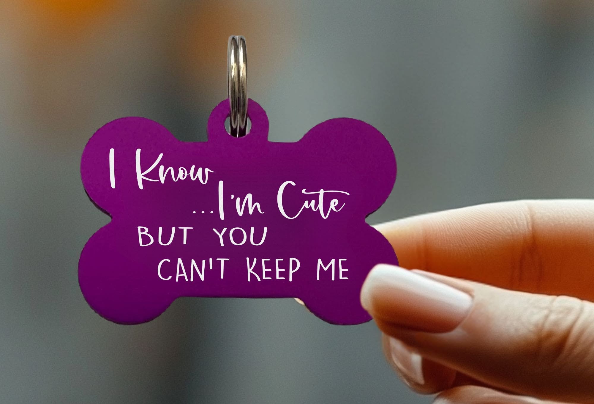 Engraved pet ID tags for safety and style