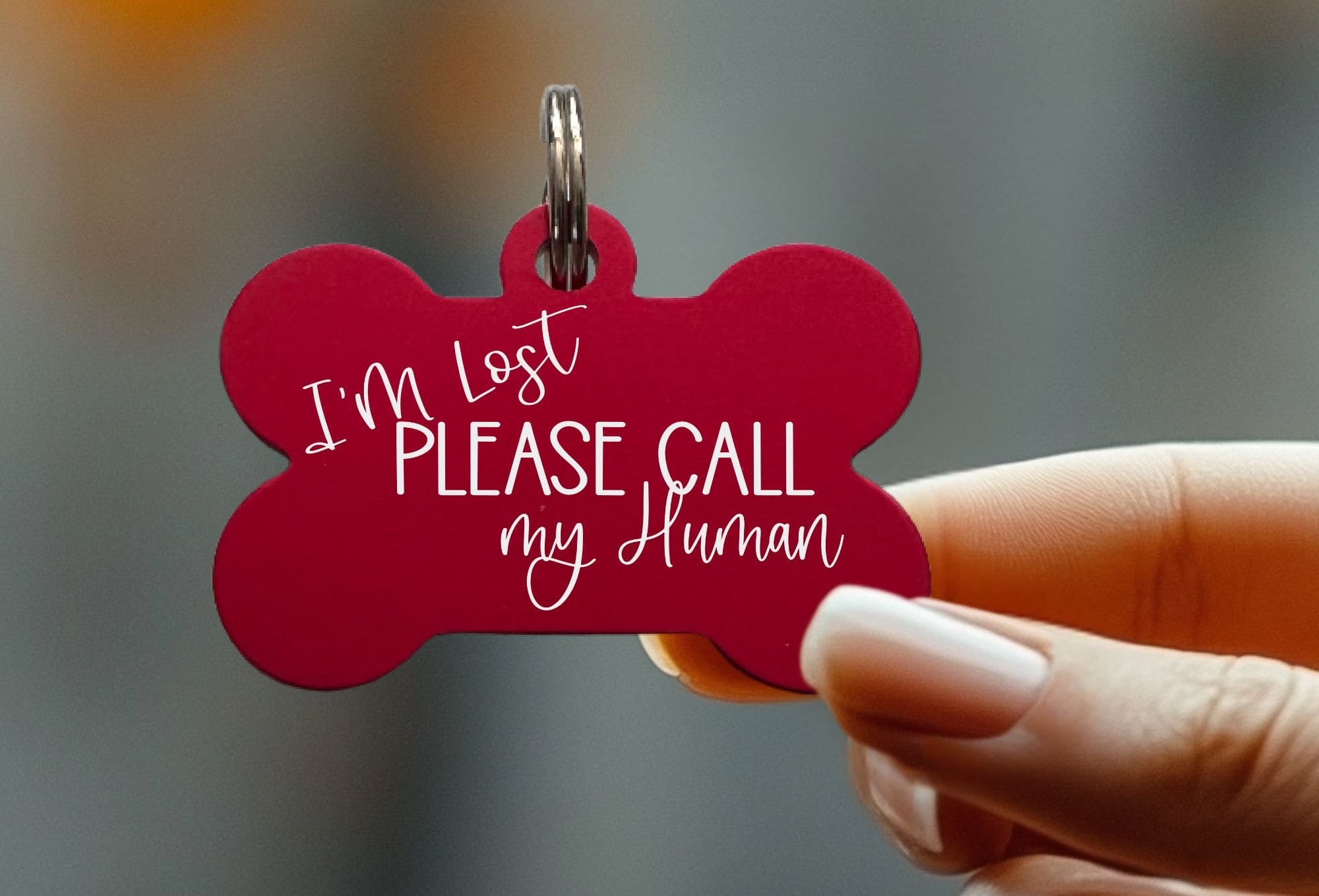 Personalized dog collar tags with funny quotes