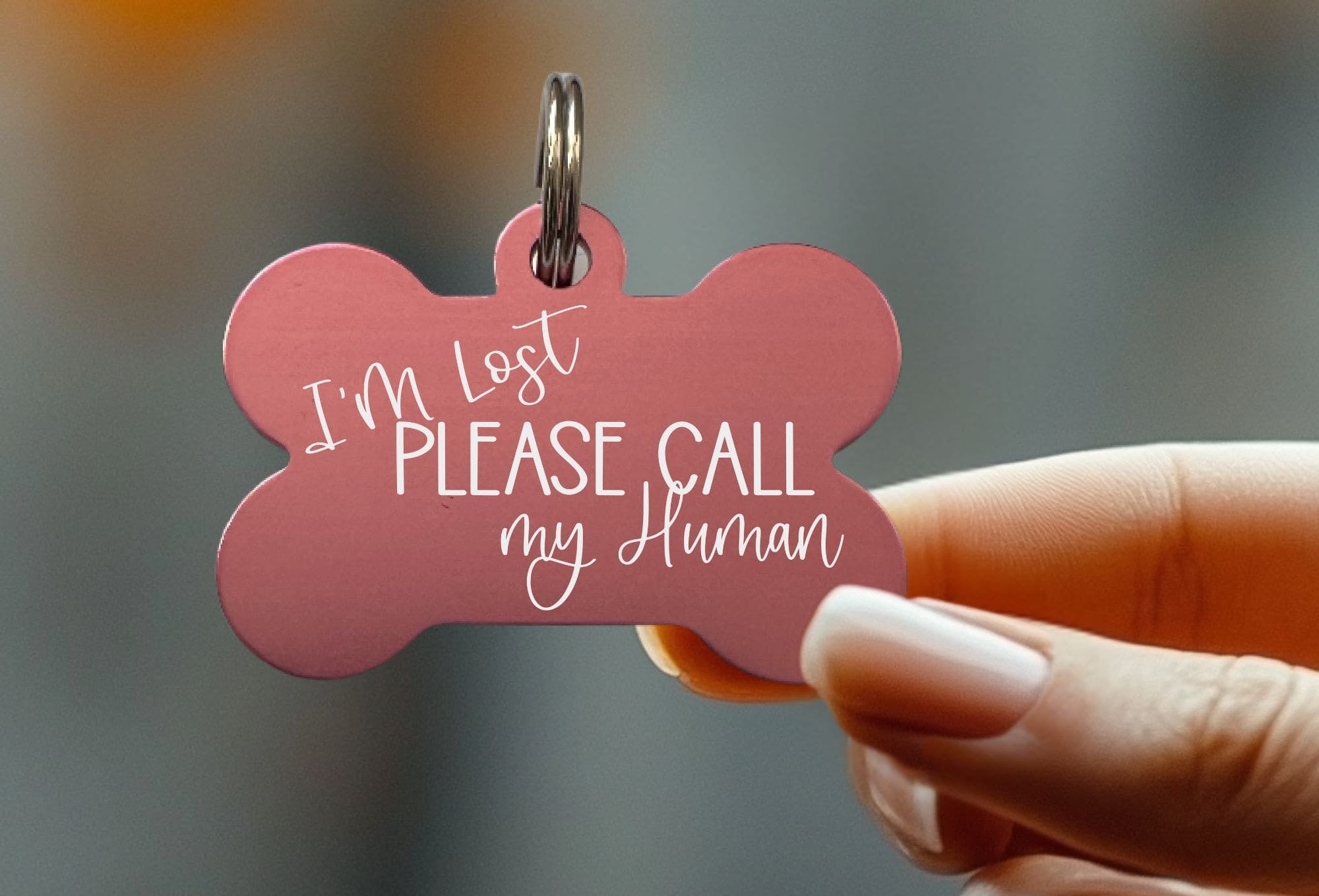 Funny custom engraved pet ID tags – lightweight aluminum