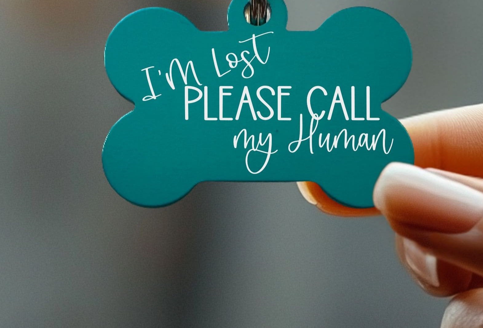 Custom engraved dog tags – personalized for safety