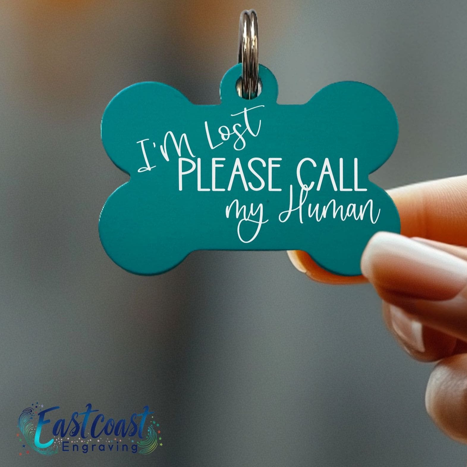 Lightweight dog collar ID tag with funny lost dog saying