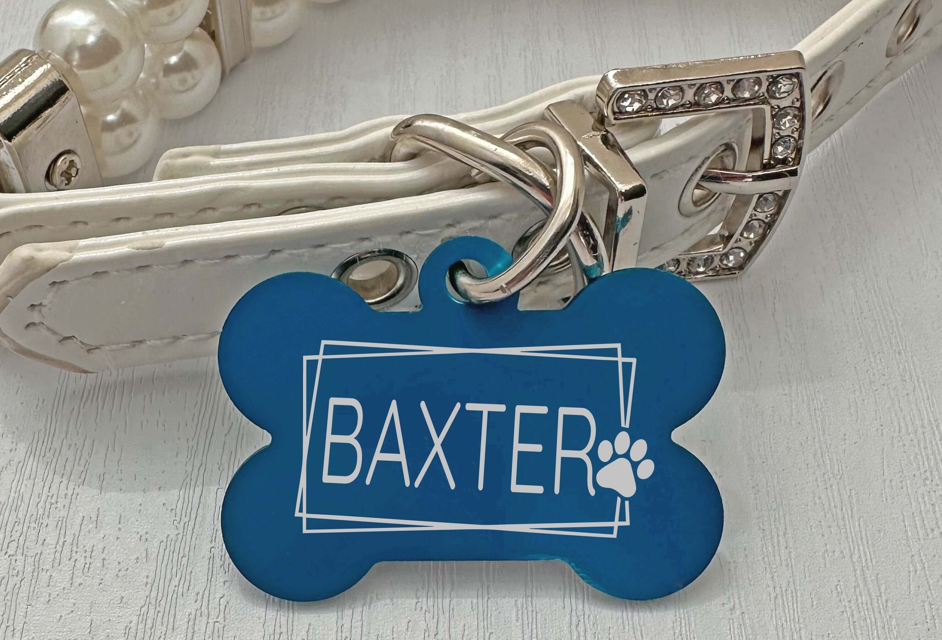 Customizable Artistic Paw Dog Tag – Durable & Colorful Pet ID - Eastcoast Engraving
