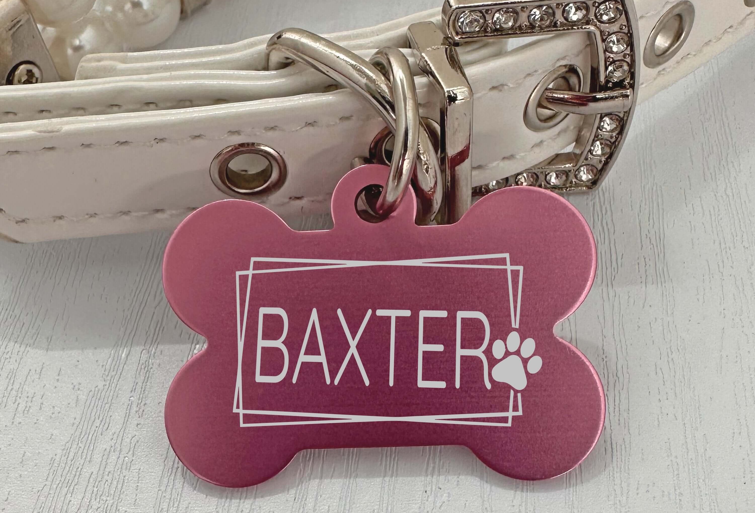 Customizable Artistic Paw Dog Tag – Durable & Colorful Pet ID - Eastcoast Engraving
