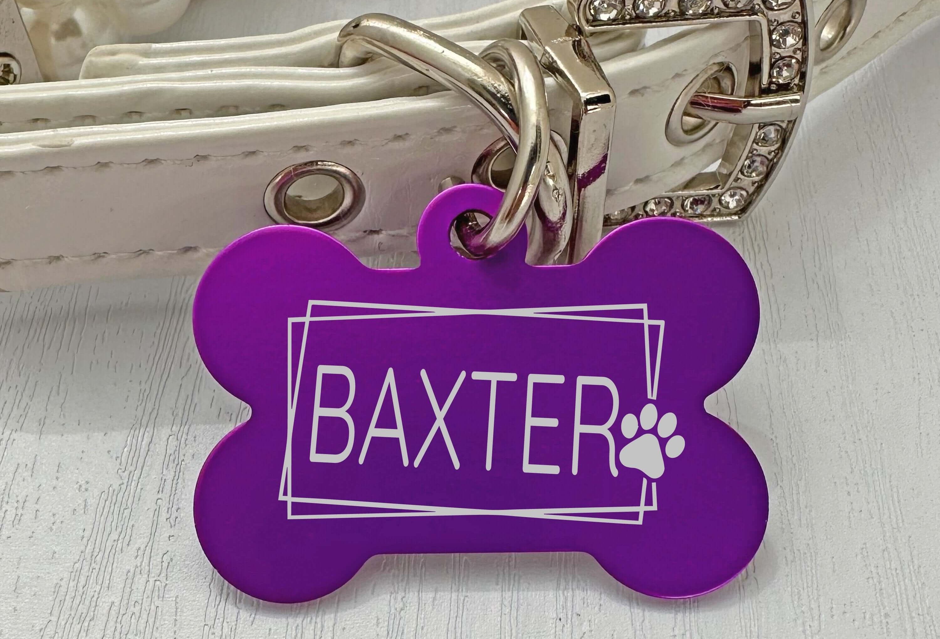 Customizable Artistic Paw Dog Tag – Durable & Colorful Pet ID - Eastcoast Engraving