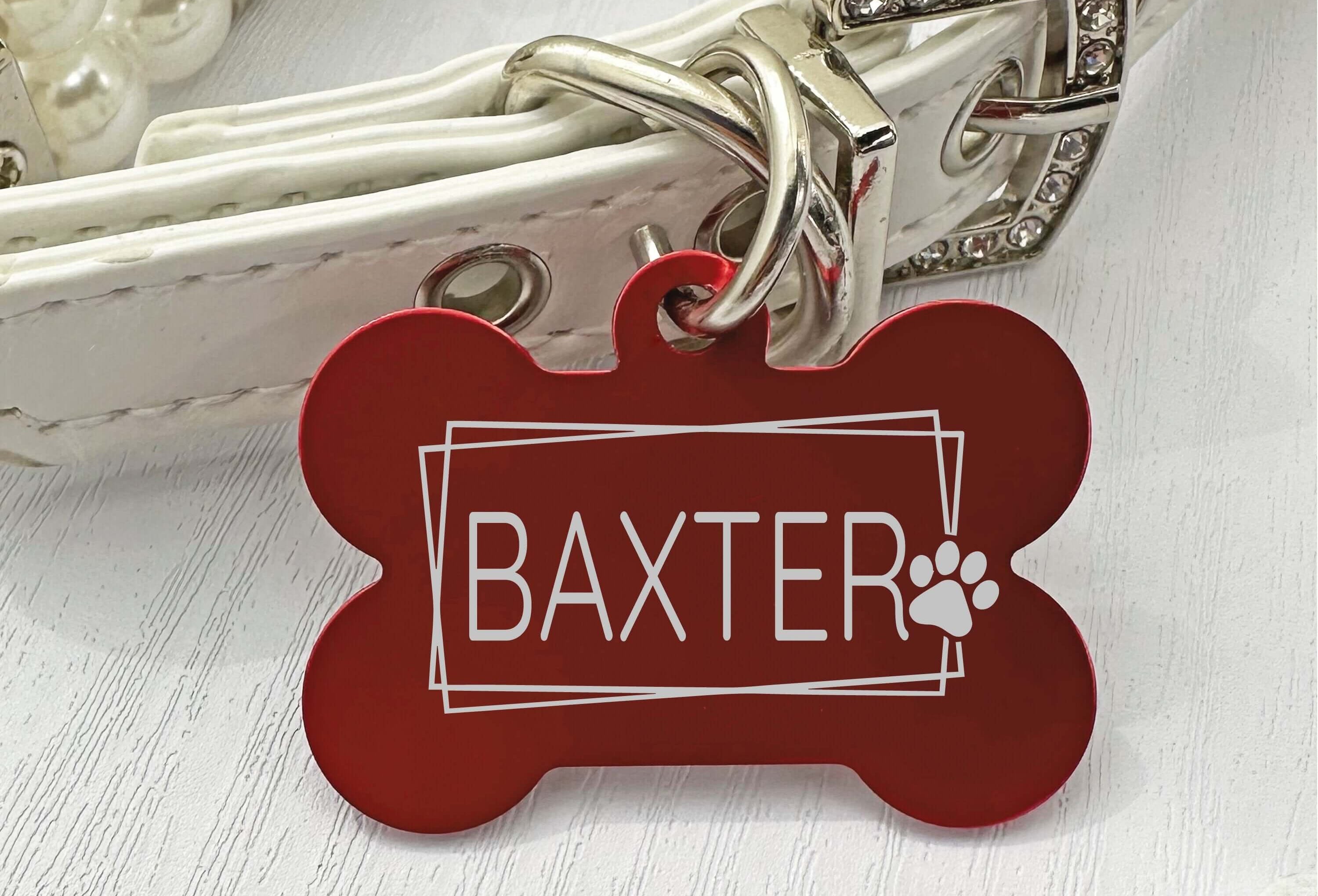 Customizable Artistic Paw Dog Tag – Durable & Colorful Pet ID - Eastcoast Engraving