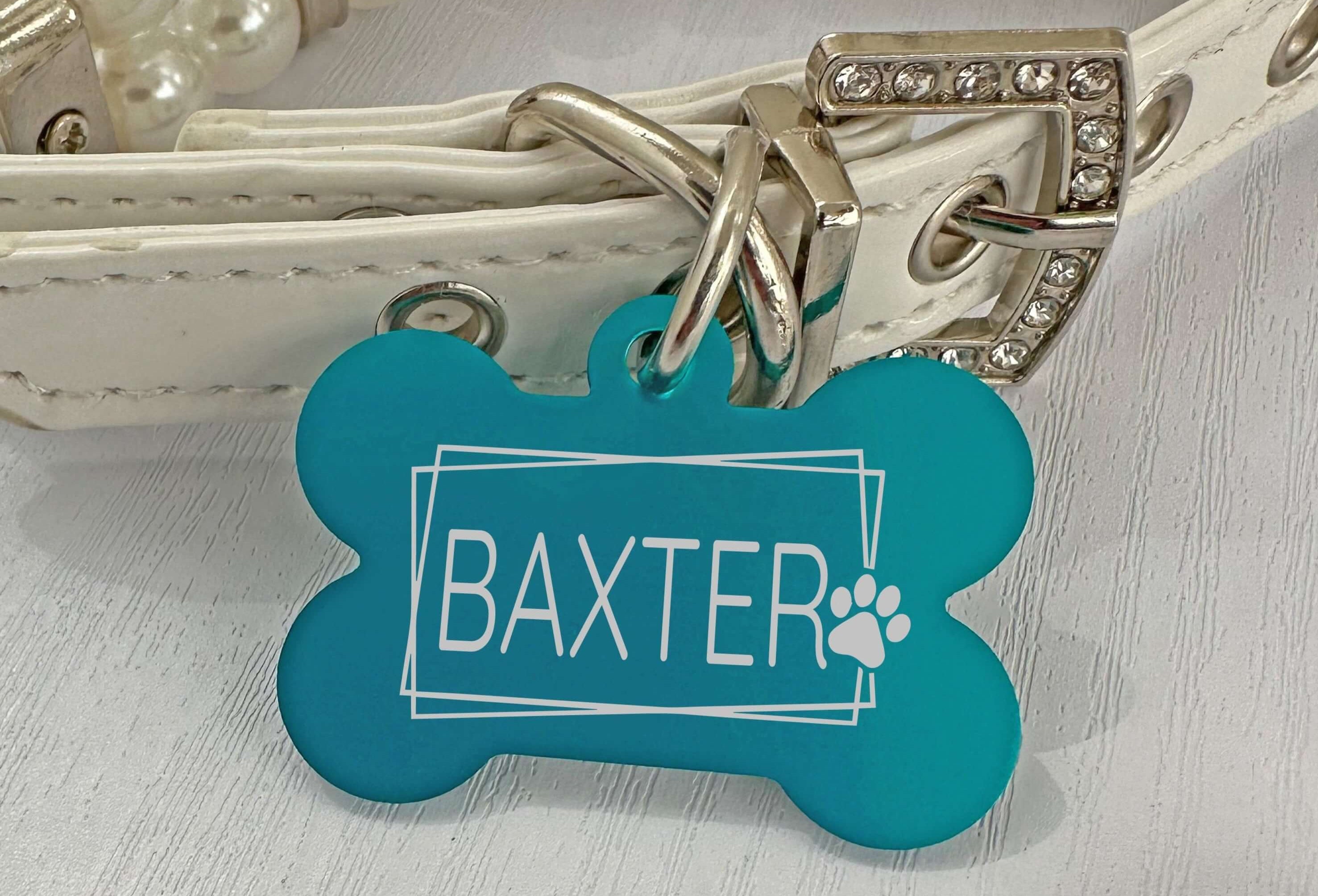 Customizable Artistic Paw Dog Tag – Durable & Colorful Pet ID - Eastcoast Engraving
