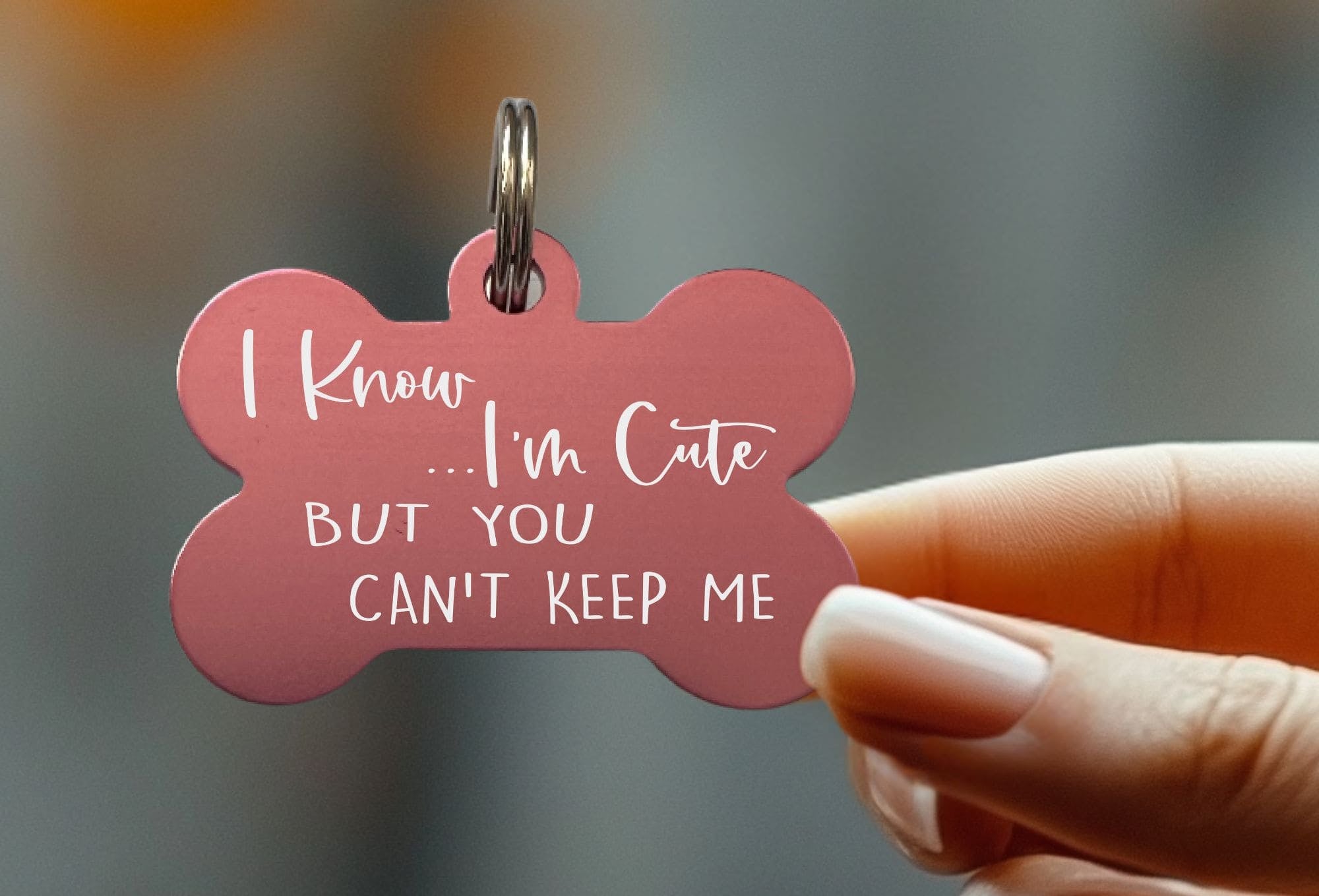 Best custom collar tags for dogs with lightweight designs
