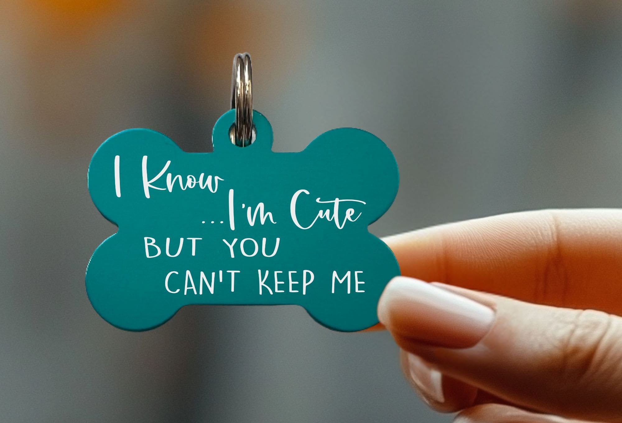 Personalized dog collar name tags for added style