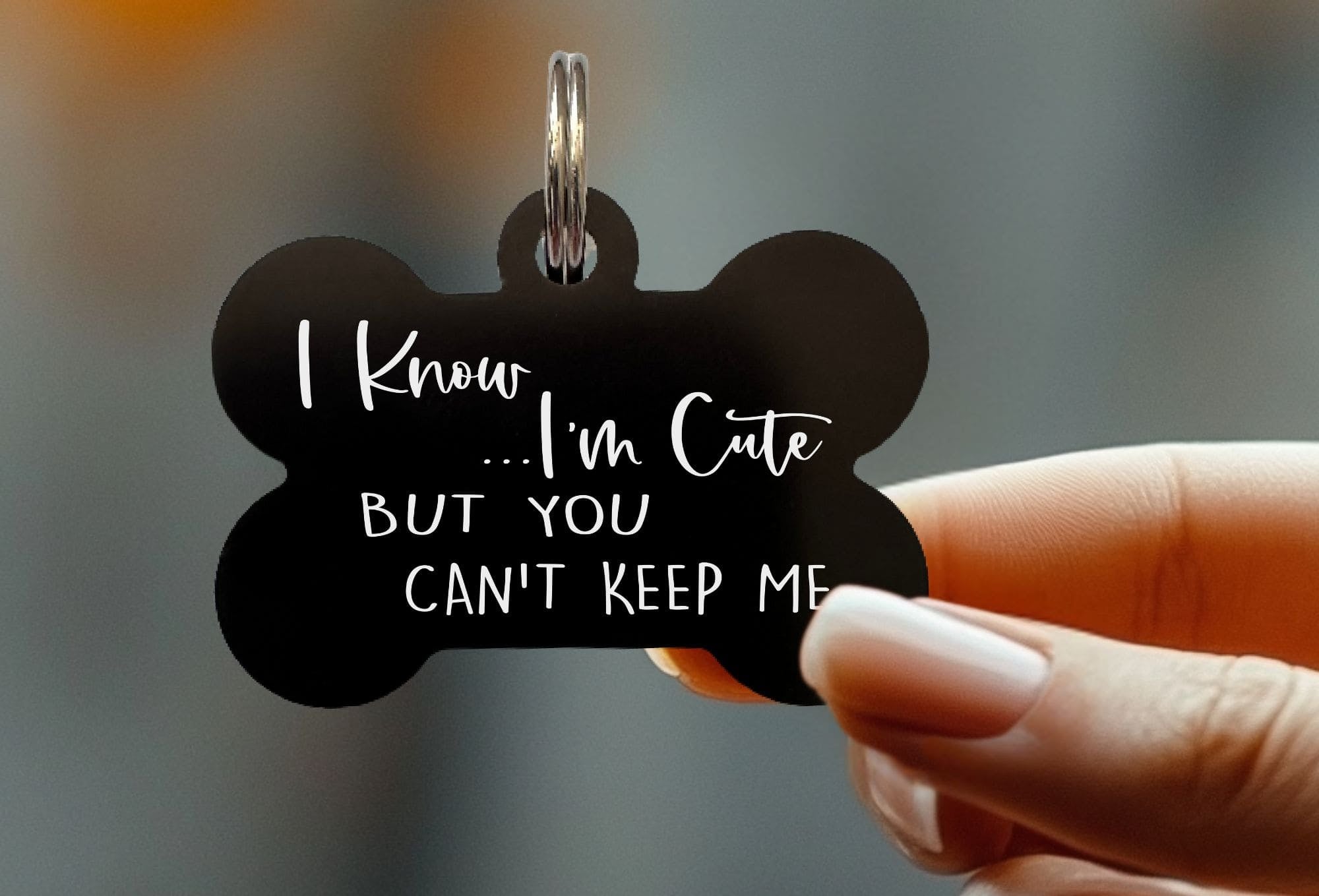 Stylish engraved collar tags for pets with personality