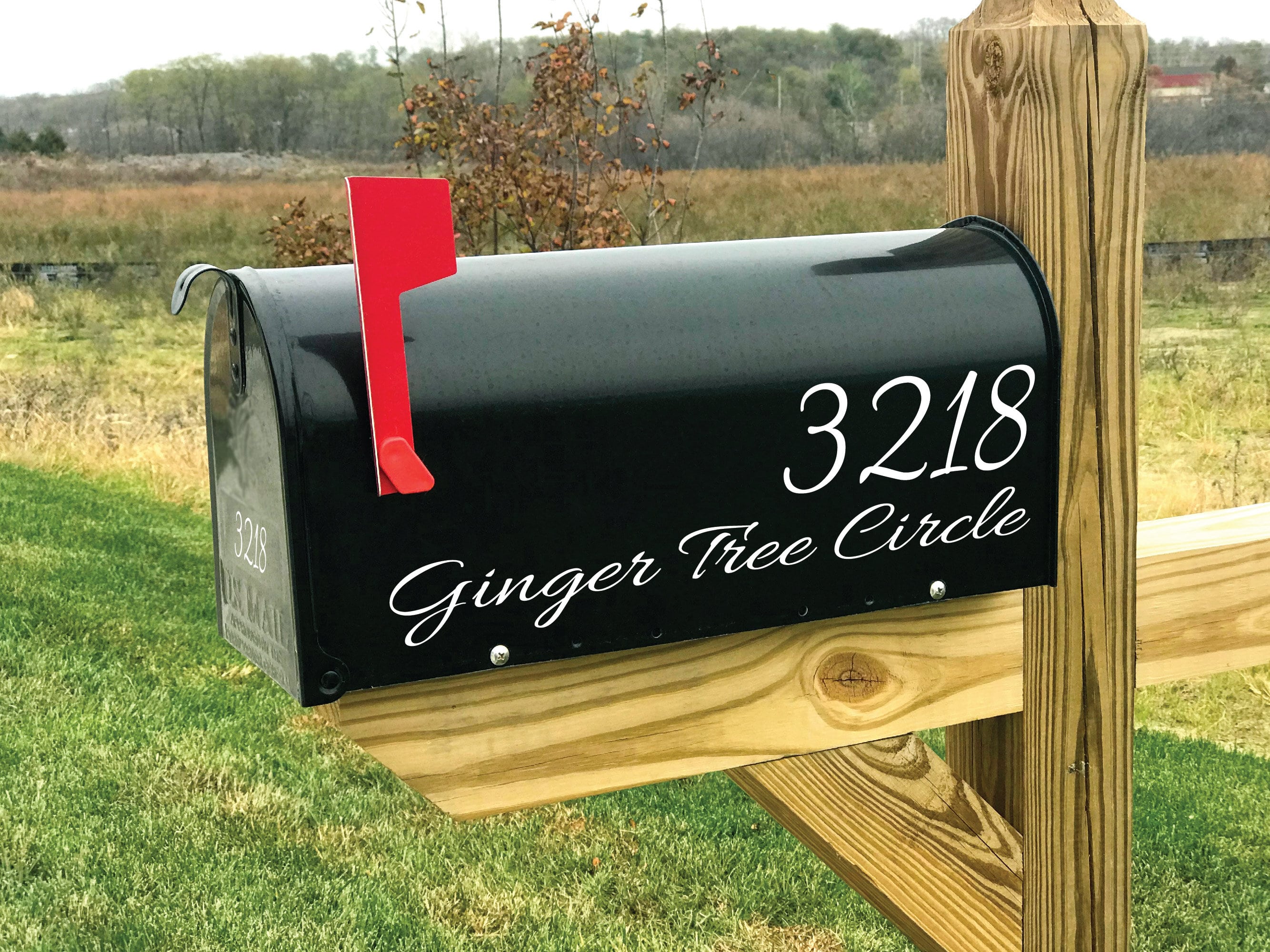 white vinyl lettering for house number and address on mailbox
