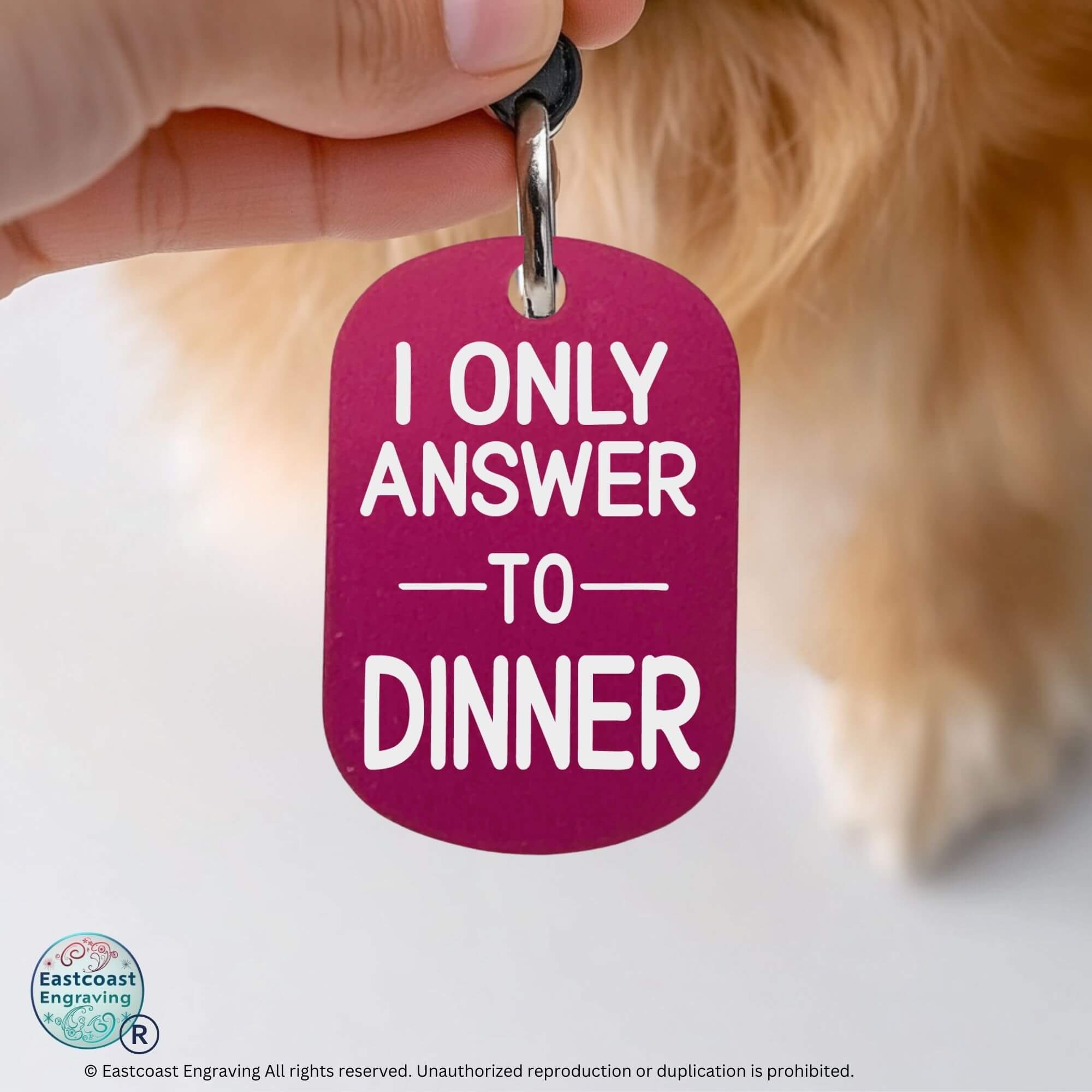 Personalized cat collar tags funny engraved pet tag hot pink