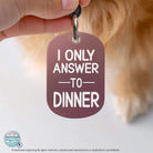 Cat collar tags personalized humorous engraved pet tag pink