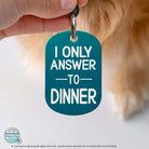 Cat collar tags personalized custom engraved teal pet ID