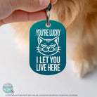 Custom cat ID tag - You're Lucky I Let You Live Here, engraved cat collar tag in teal